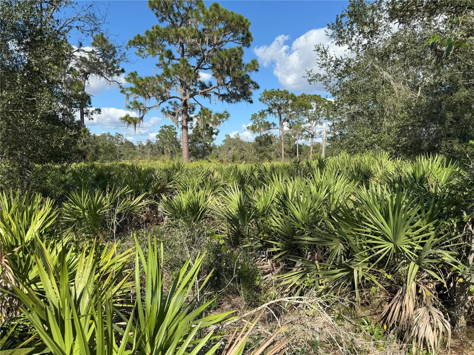 Land at 0 ALTURAS BABSON PARK CUT OFF RD, BARTOW, photo 12 of 22