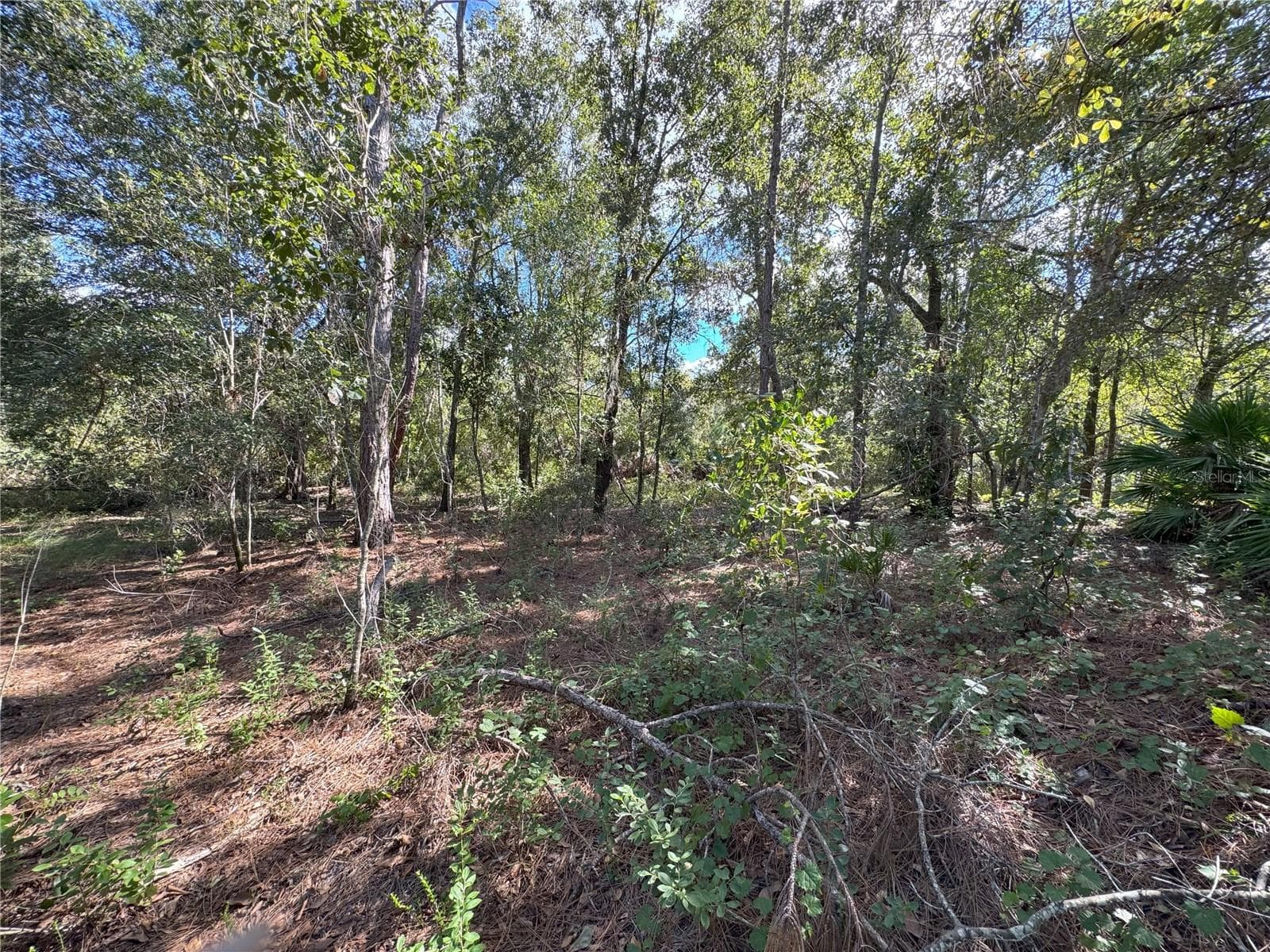 Land at 0 ALTURAS BABSON PARK CUT OFF RD, BARTOW, photo 14 of 22