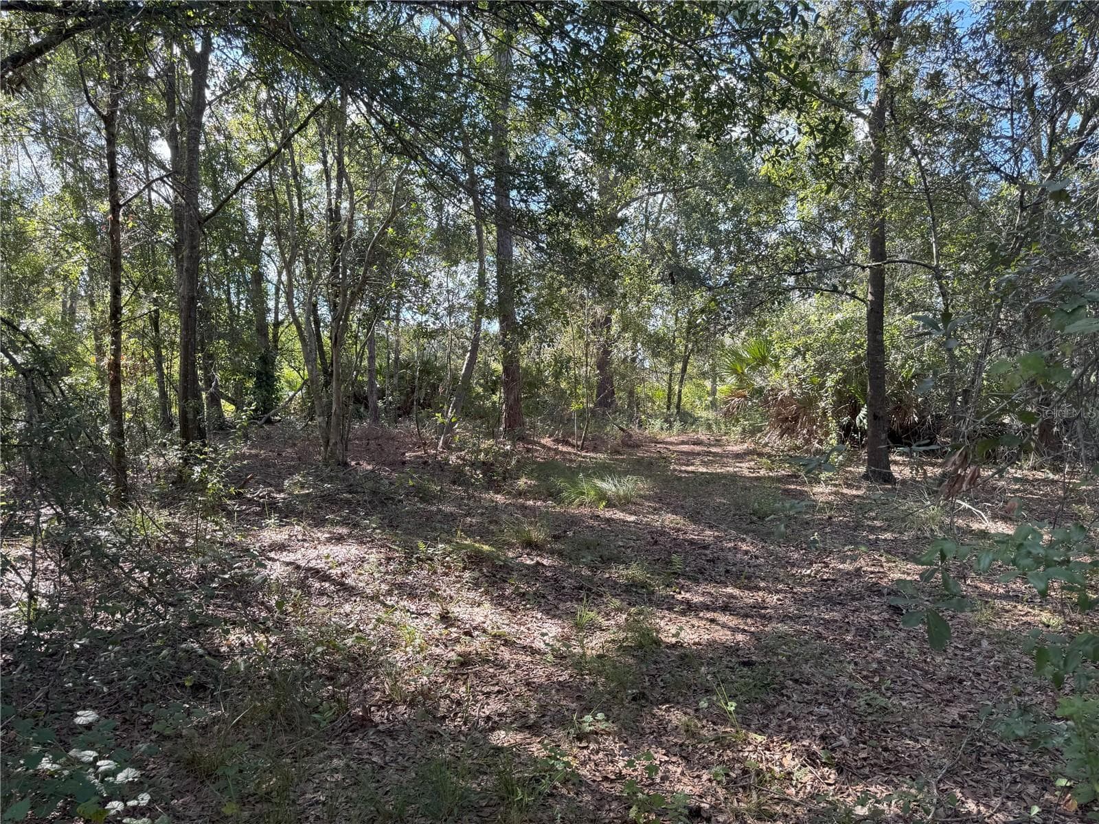 Land at 0 ALTURAS BABSON PARK CUT OFF RD, BARTOW, photo 16 of 22
