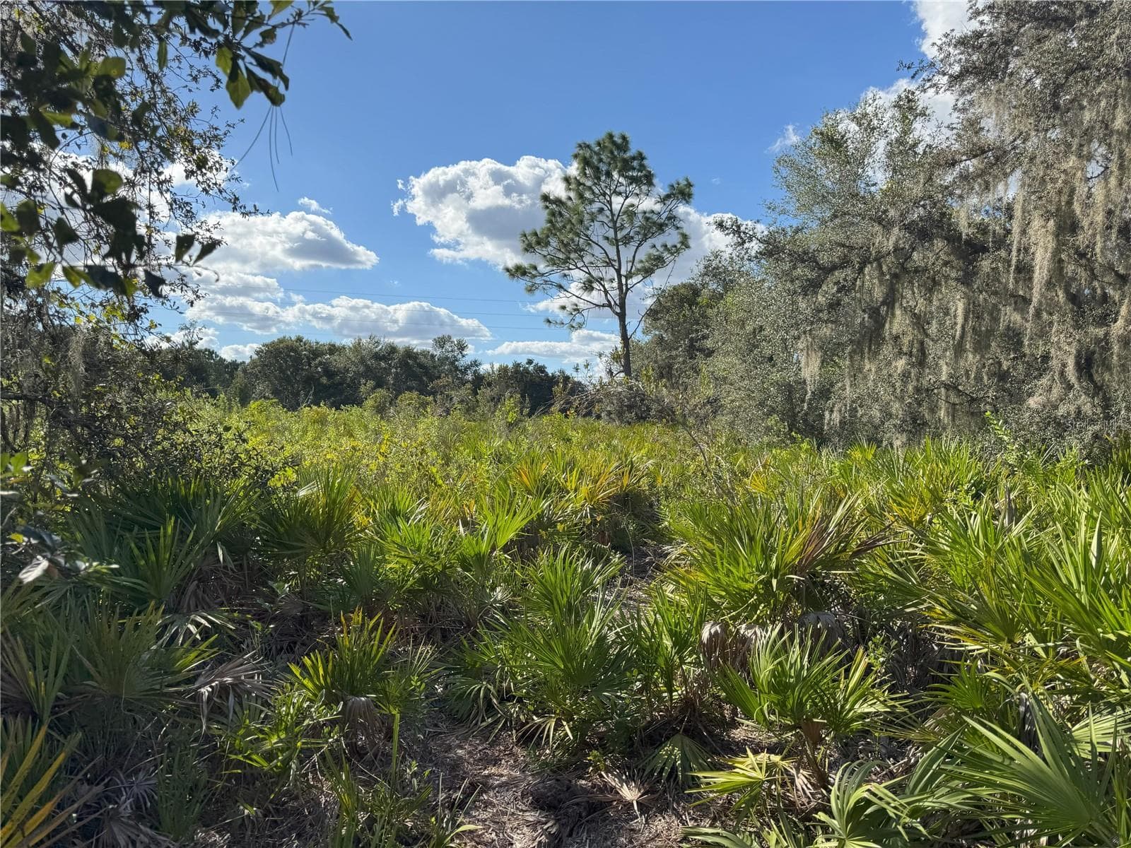 Land at 0 ALTURAS BABSON PARK CUT OFF RD, BARTOW, photo 18 of 22