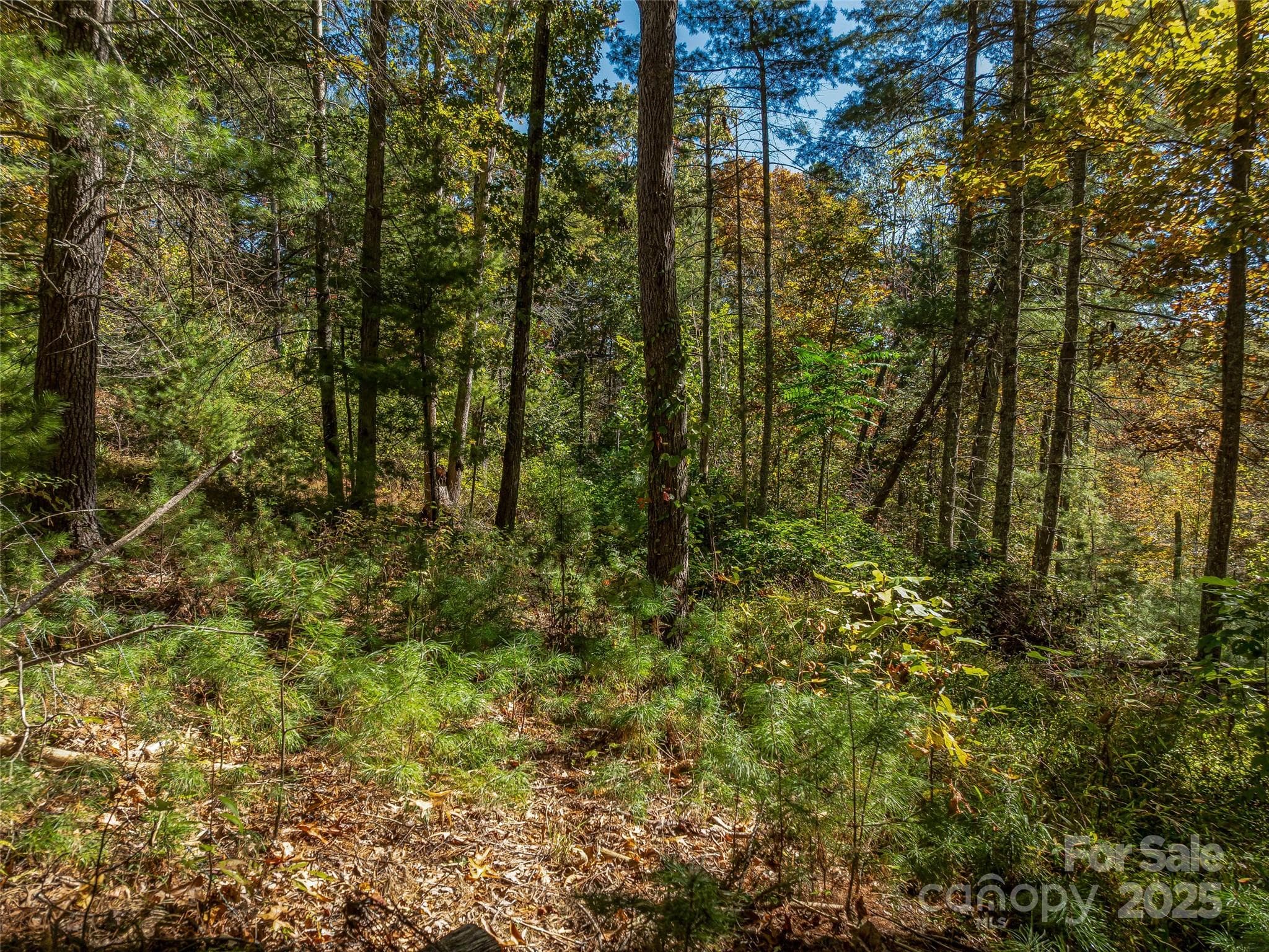 Acreage at 99999 Meadows Town Road, Marshall, photo 27 of 47