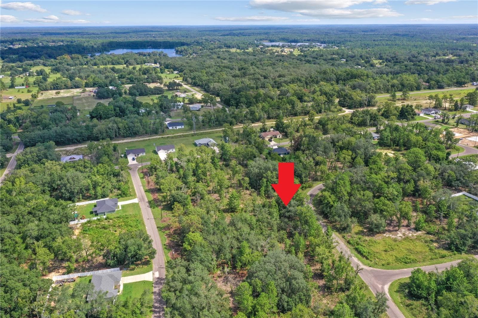 Land at 0024 GUAVA PASS DR, OCKLAWAHA, photo 8 of 24