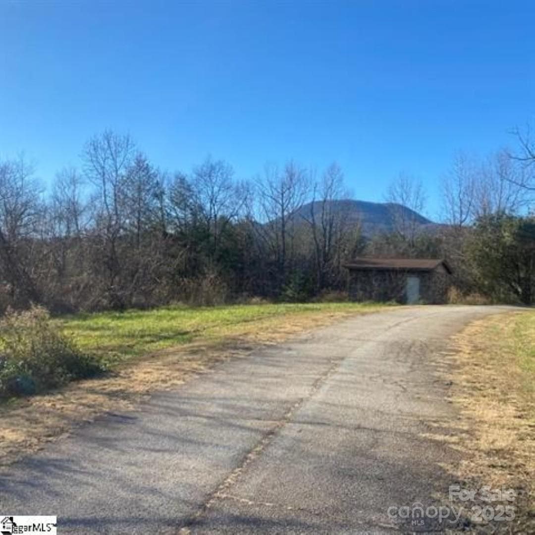 Acreage at 00 Lockhart Circle, Landrum, photo 4 of 6