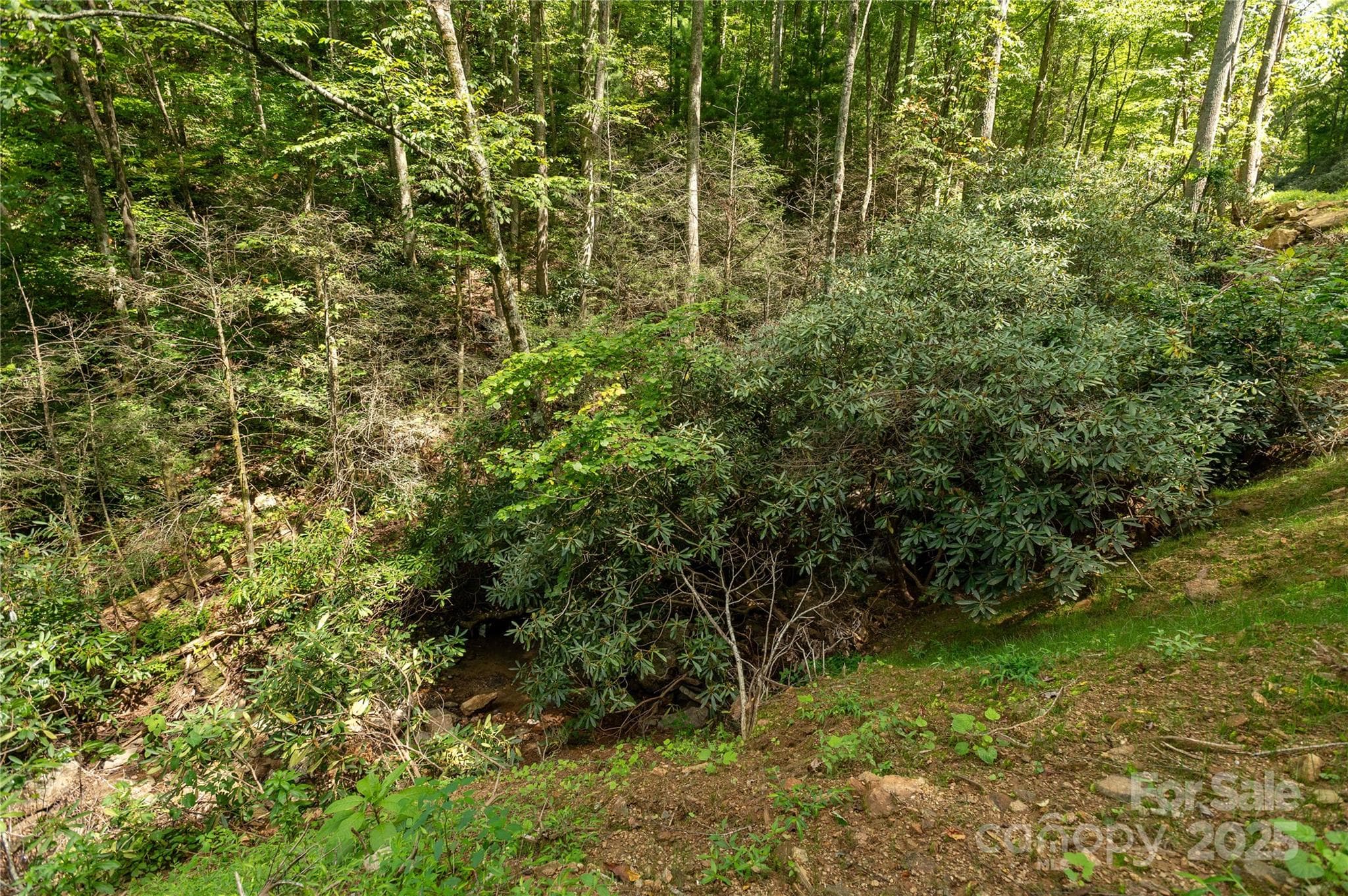 Acreage at 99999 Christian Creek Road, Swannanoa, photo 3 of 9