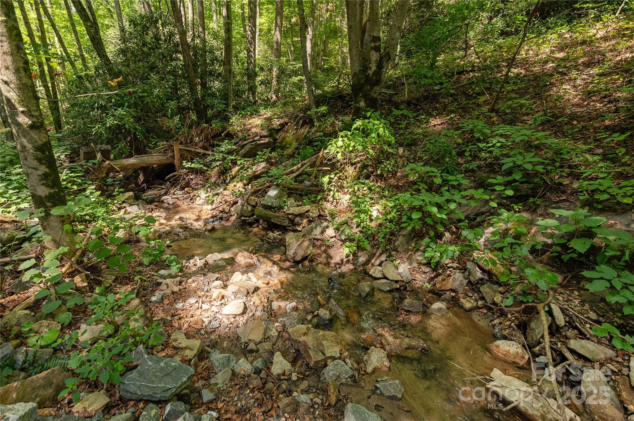 Acreage at 99999 Christian Creek Road, Swannanoa, photo 4 of 9