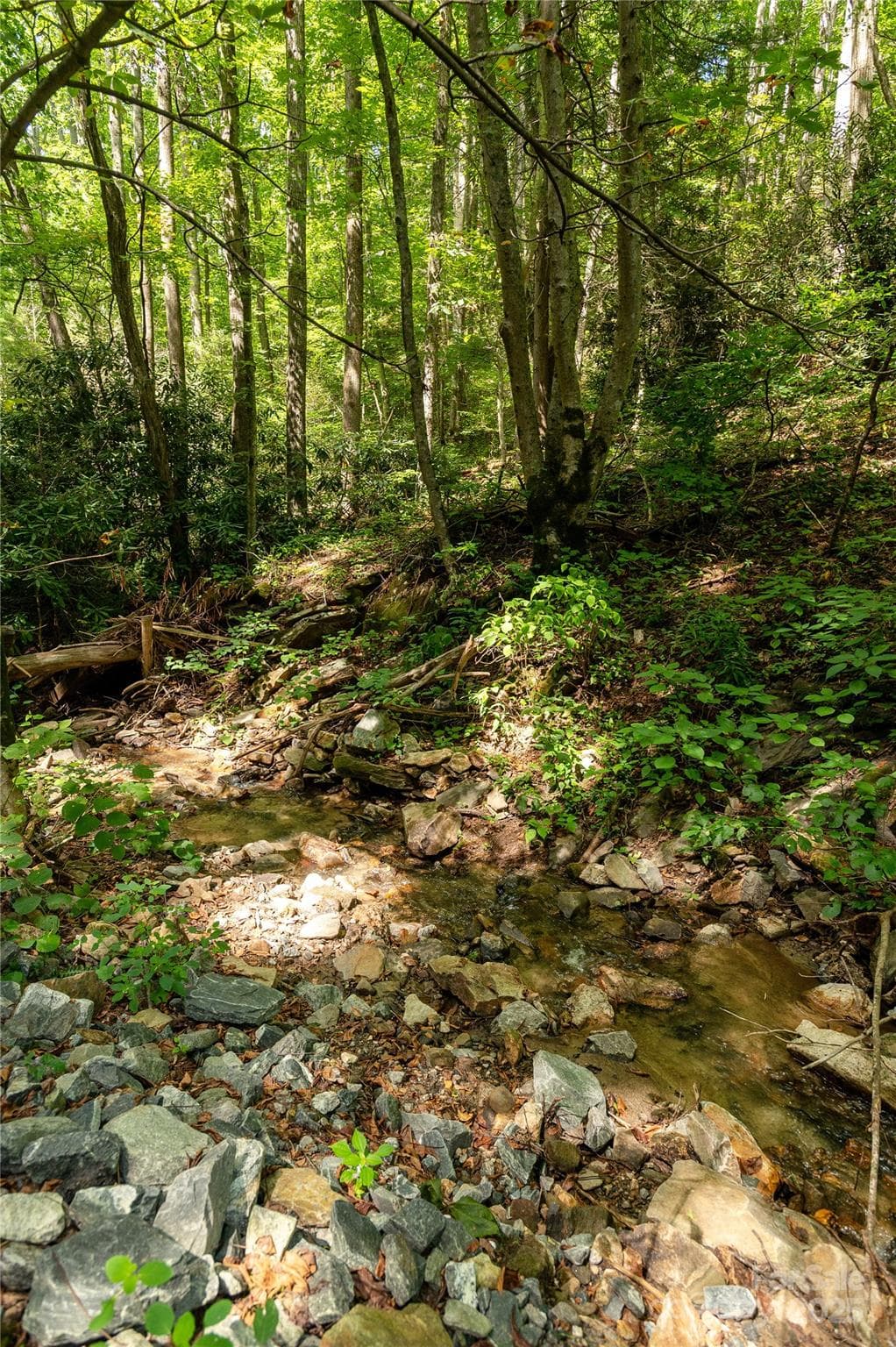 Acreage at 99999 Christian Creek Road, Swannanoa, photo 5 of 9