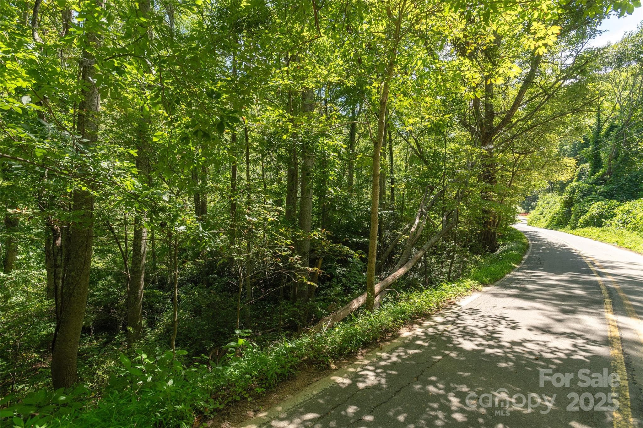Acreage at 99999 Christian Creek Road, Swannanoa, photo 7 of 9