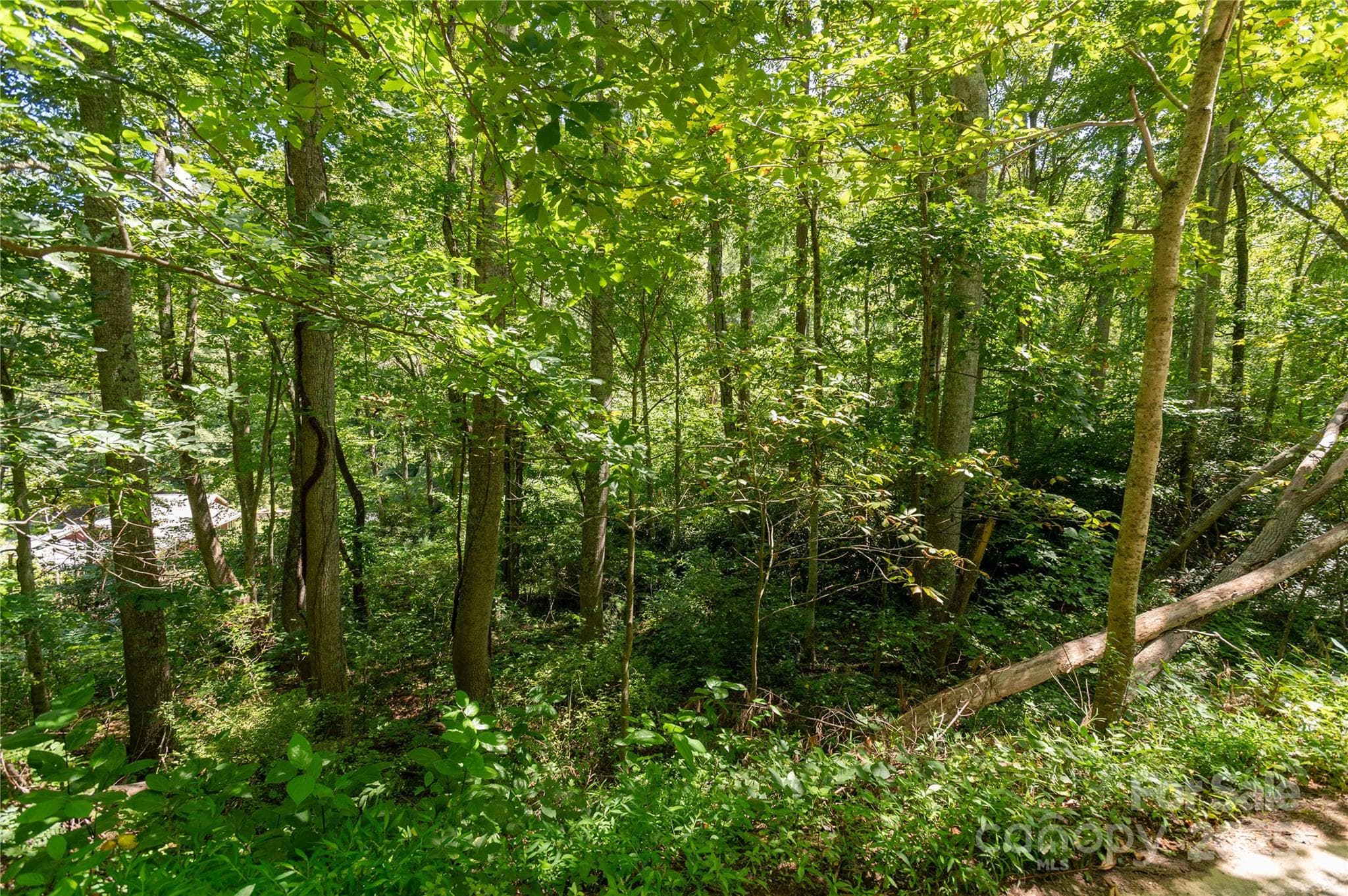 Acreage at 99999 Christian Creek Road, Swannanoa, photo 8 of 9
