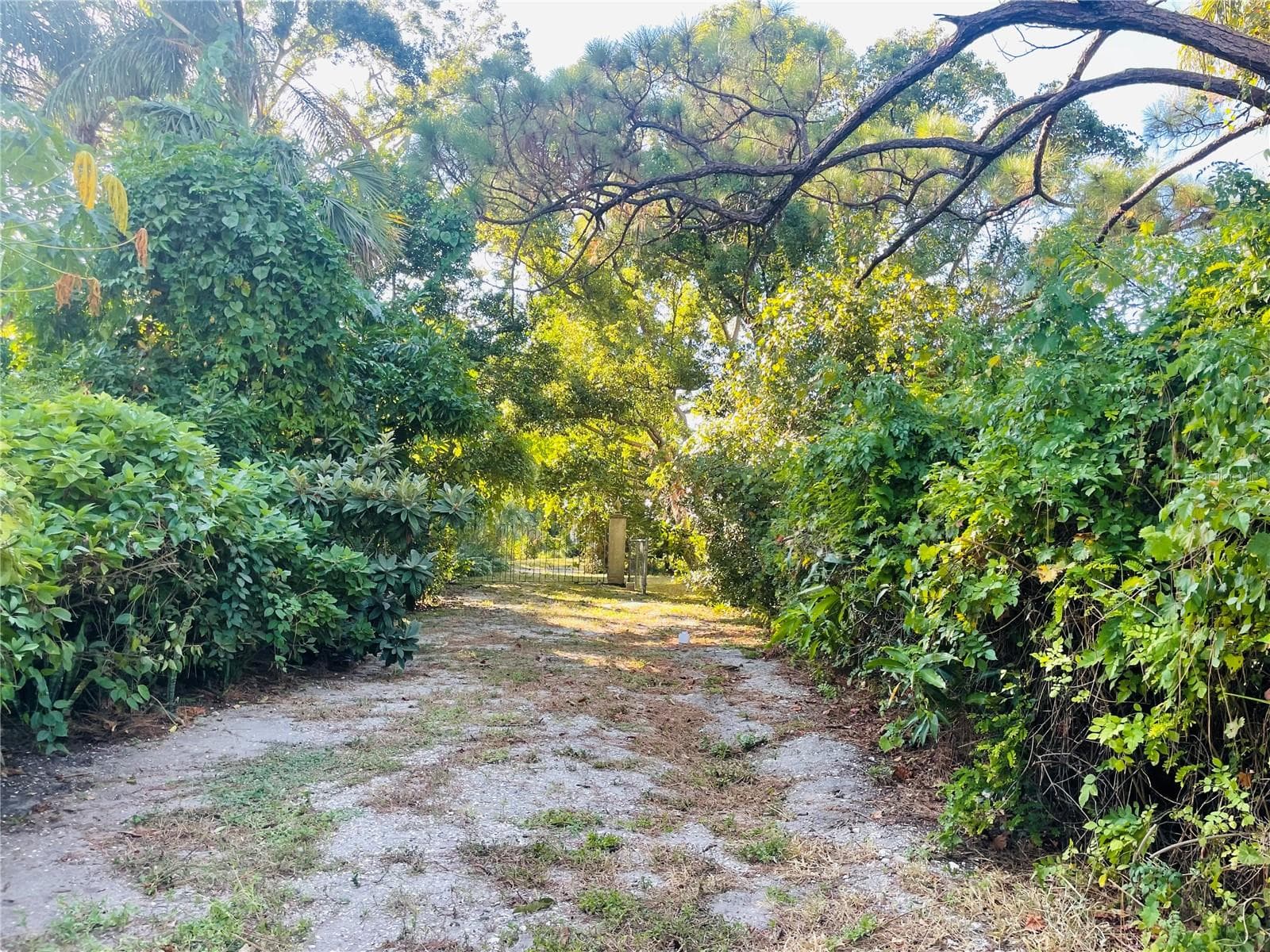 Back gate - 550 46TH ST, SARASOTA