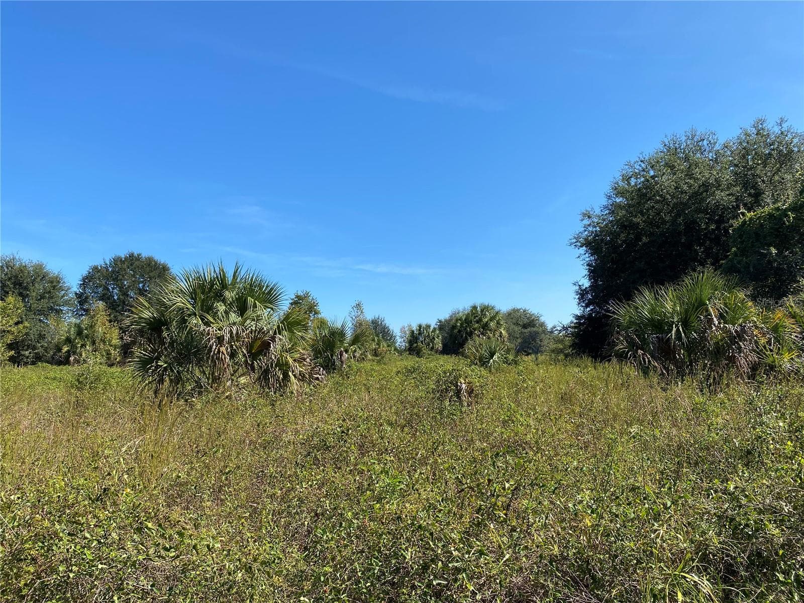 Land at xxxx NE 3RD CT, CITRA, photo 4 of 5