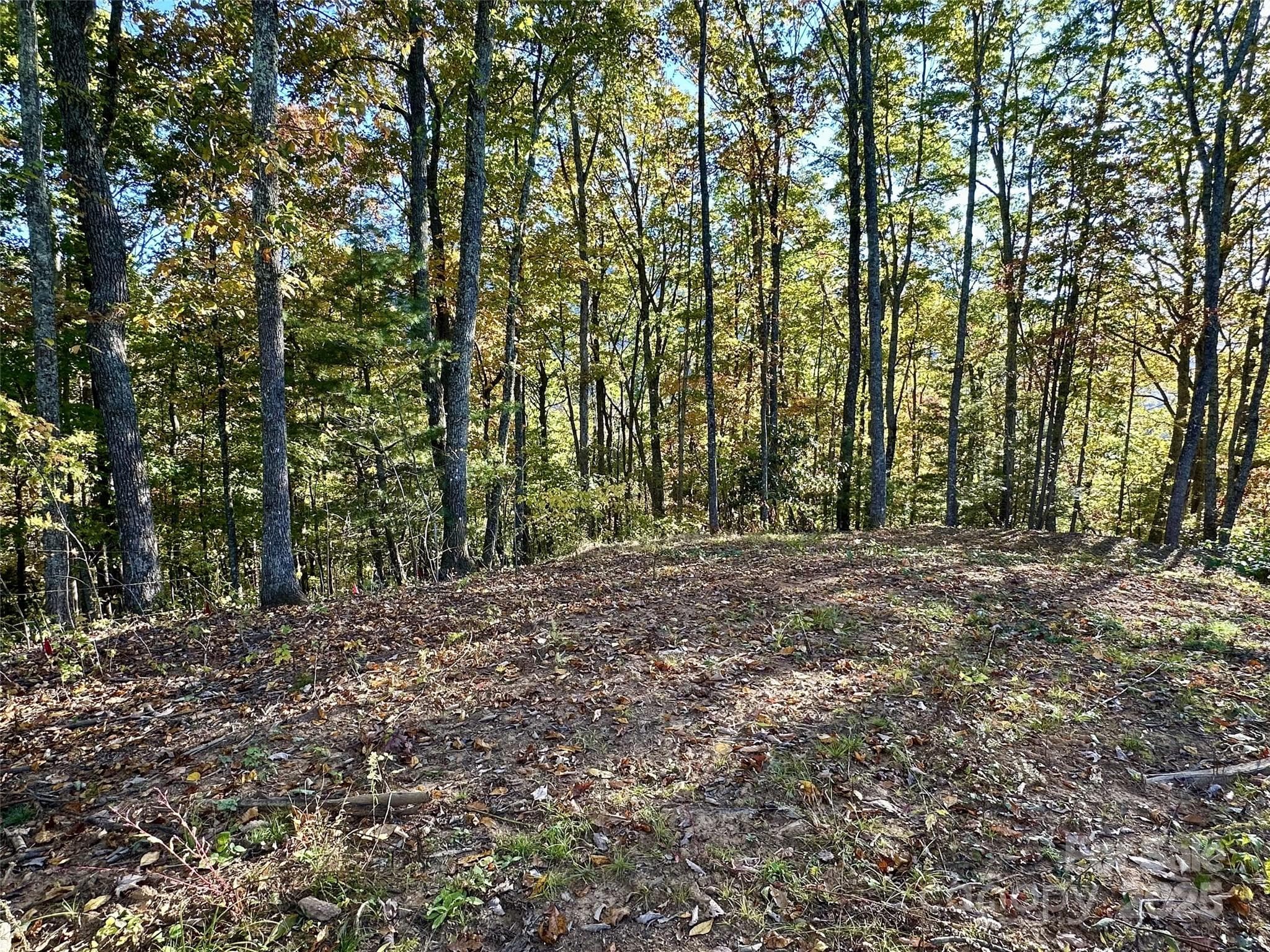 Lot at Maggie Valley, photo 3 of 16