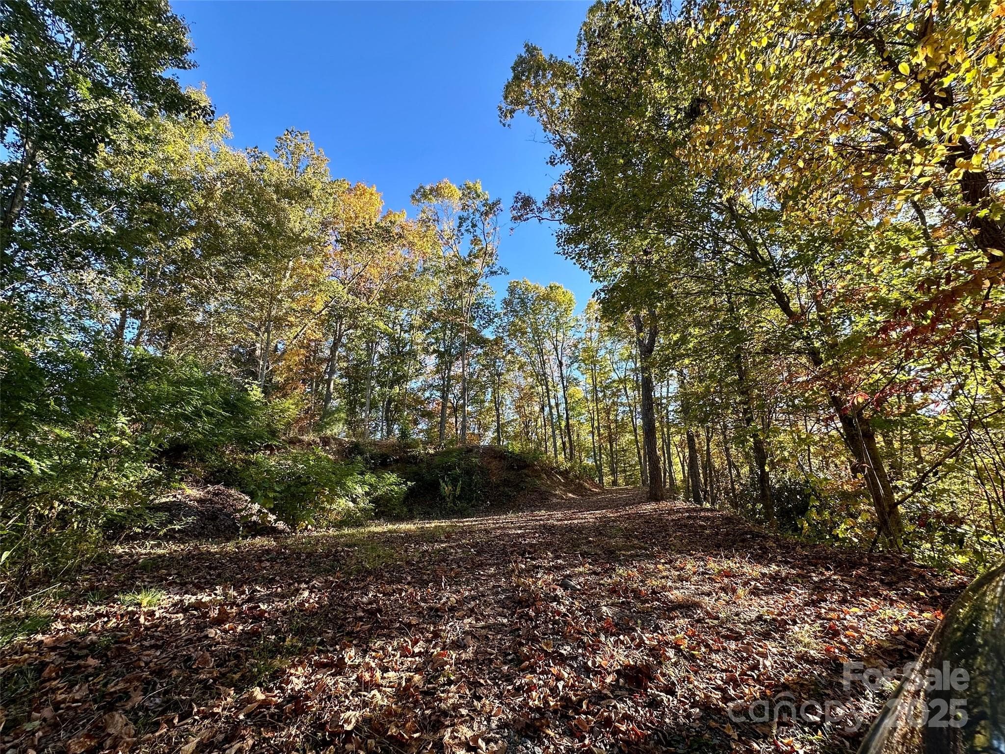 Lot at Maggie Valley, photo 4 of 16