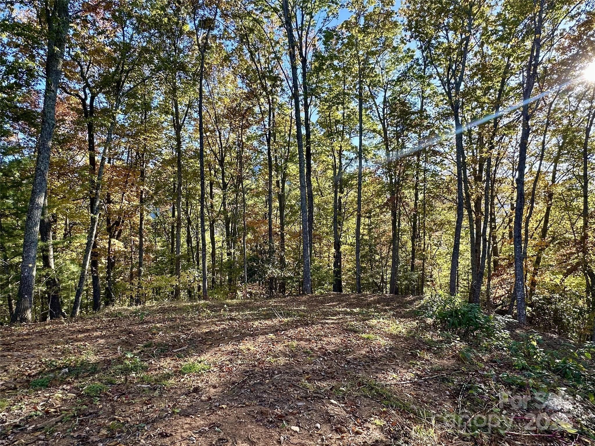 Lot at Maggie Valley, photo 5 of 16