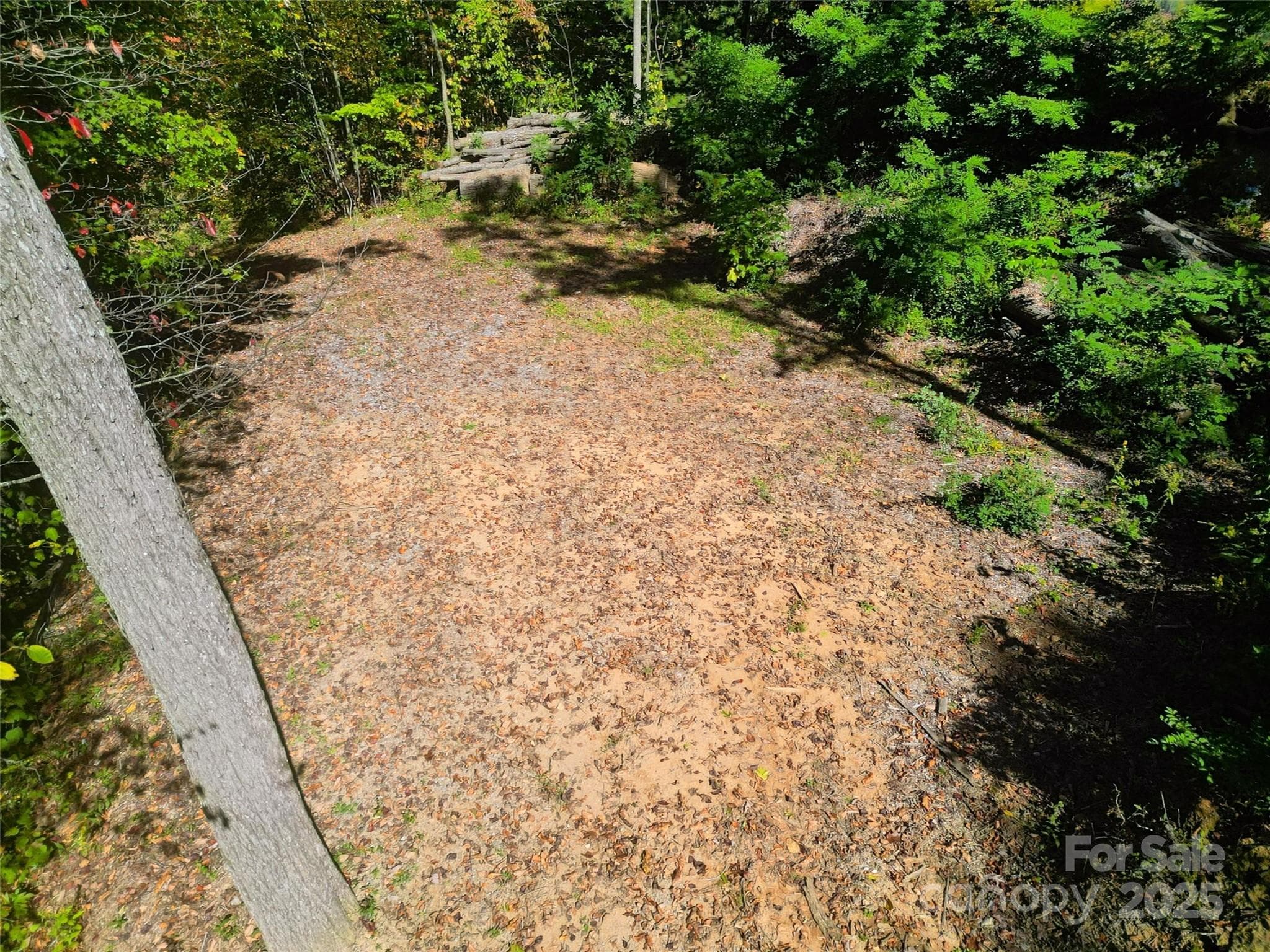 Lot at Maggie Valley, photo 6 of 16