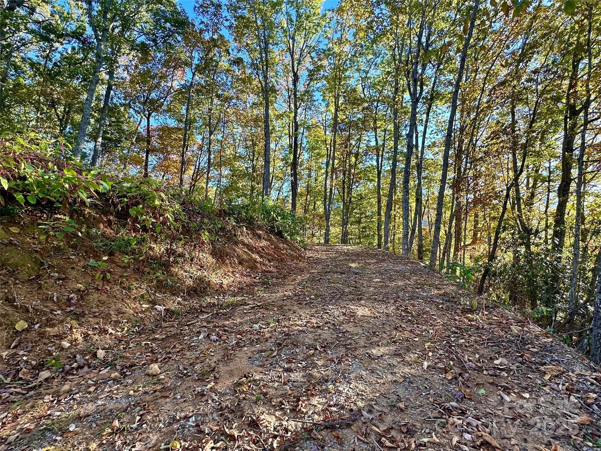 Lot at Maggie Valley, photo 8 of 16