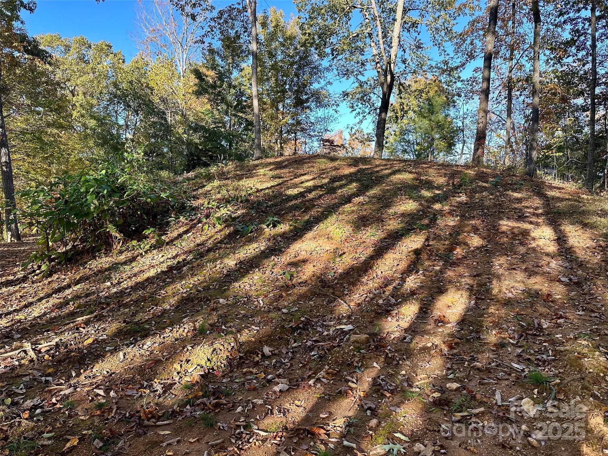 Lot at Maggie Valley, photo 9 of 16