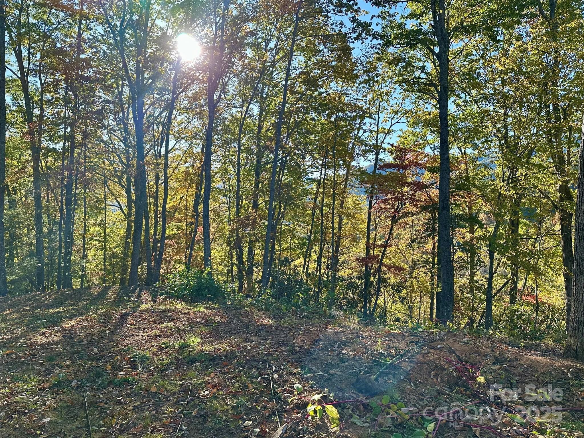 Lot at Maggie Valley, photo 10 of 16