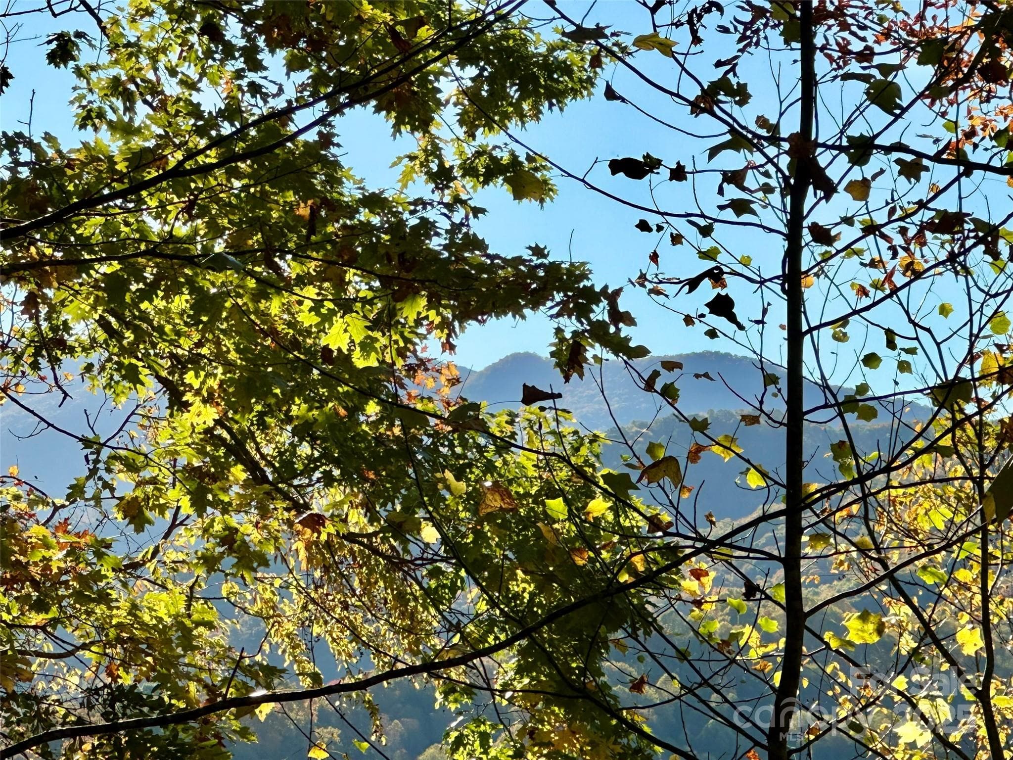 Lot at Maggie Valley, photo 11 of 16