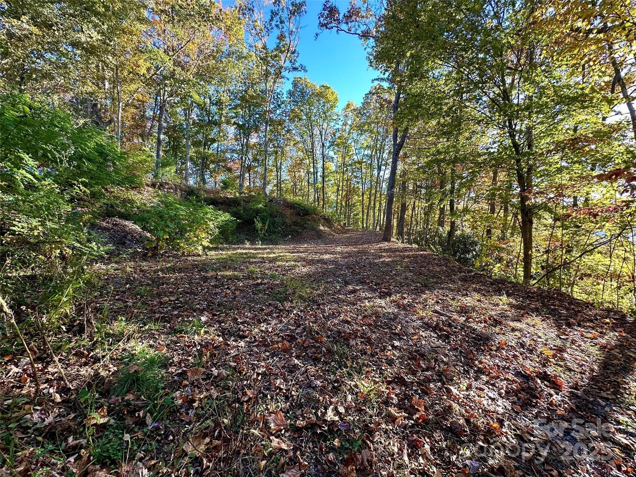 Lot at Maggie Valley, photo 12 of 16