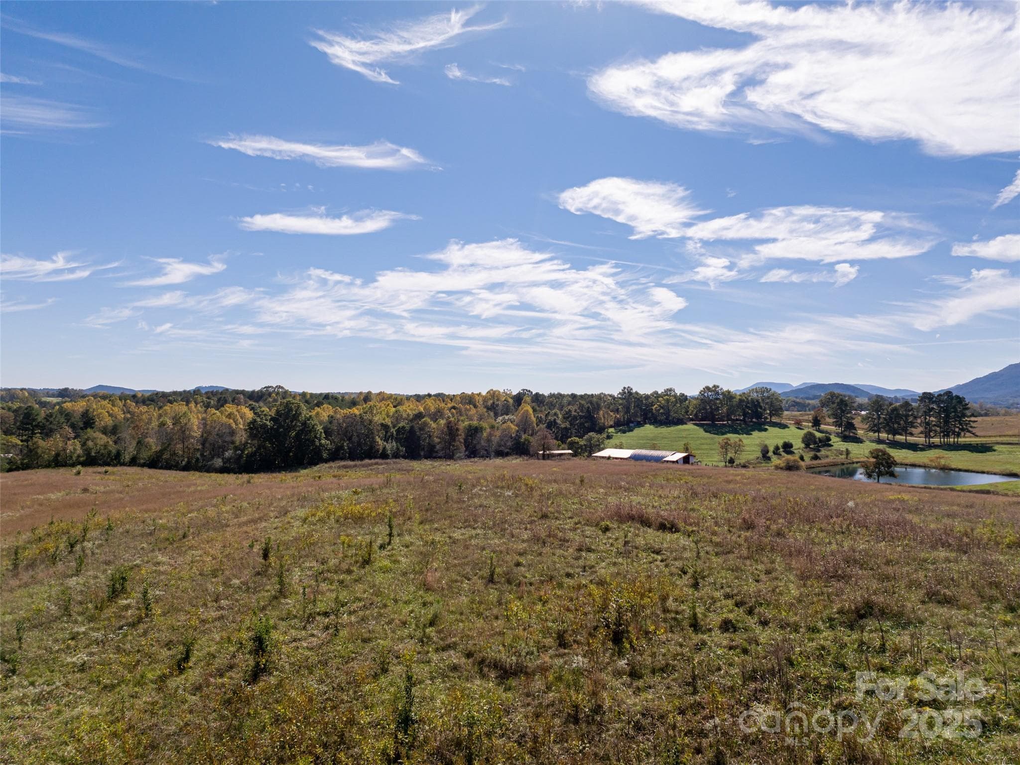 Acreage at Mill Spring, photo 7 of 17
