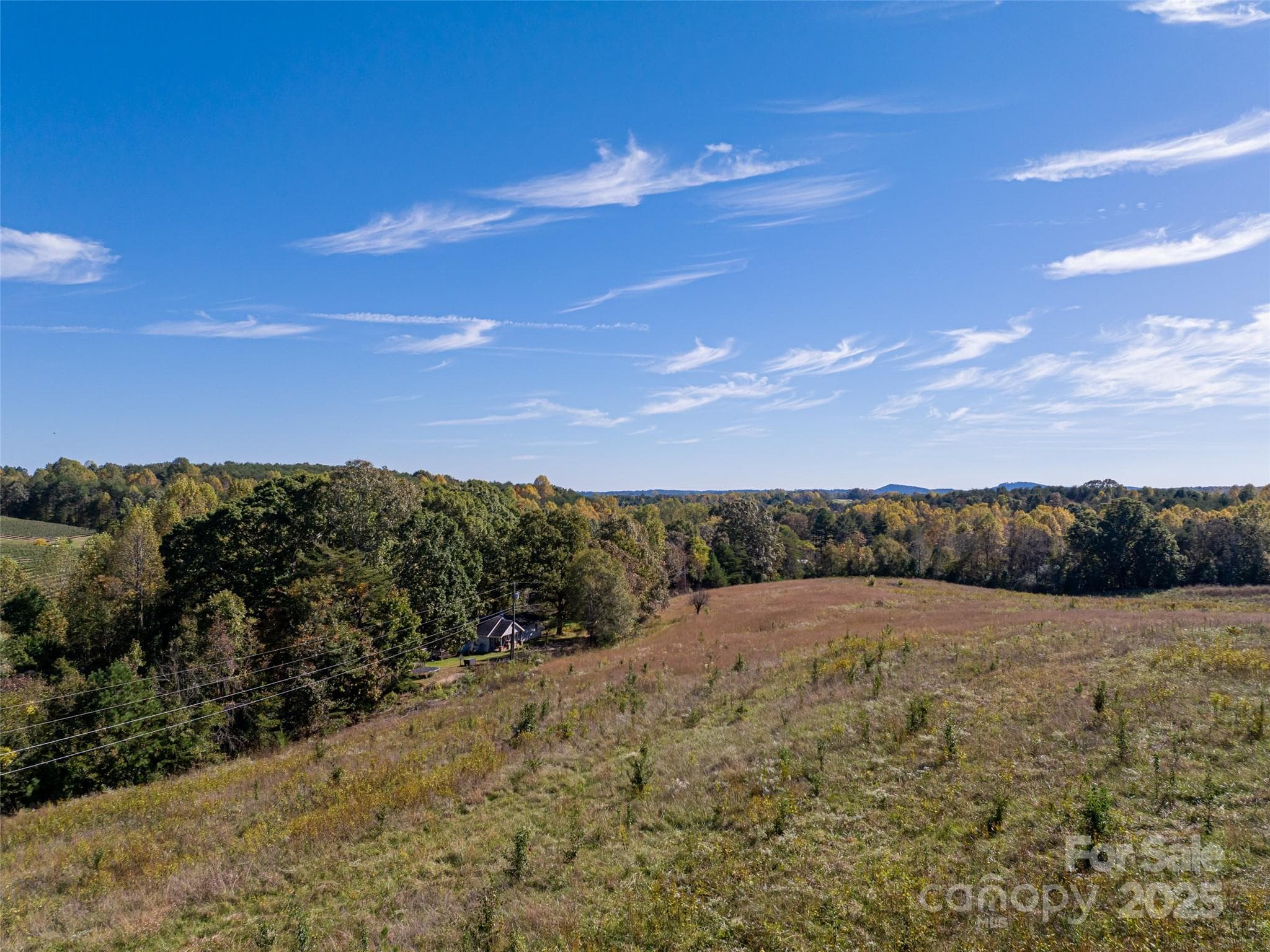 Acreage at Mill Spring, photo 8 of 17