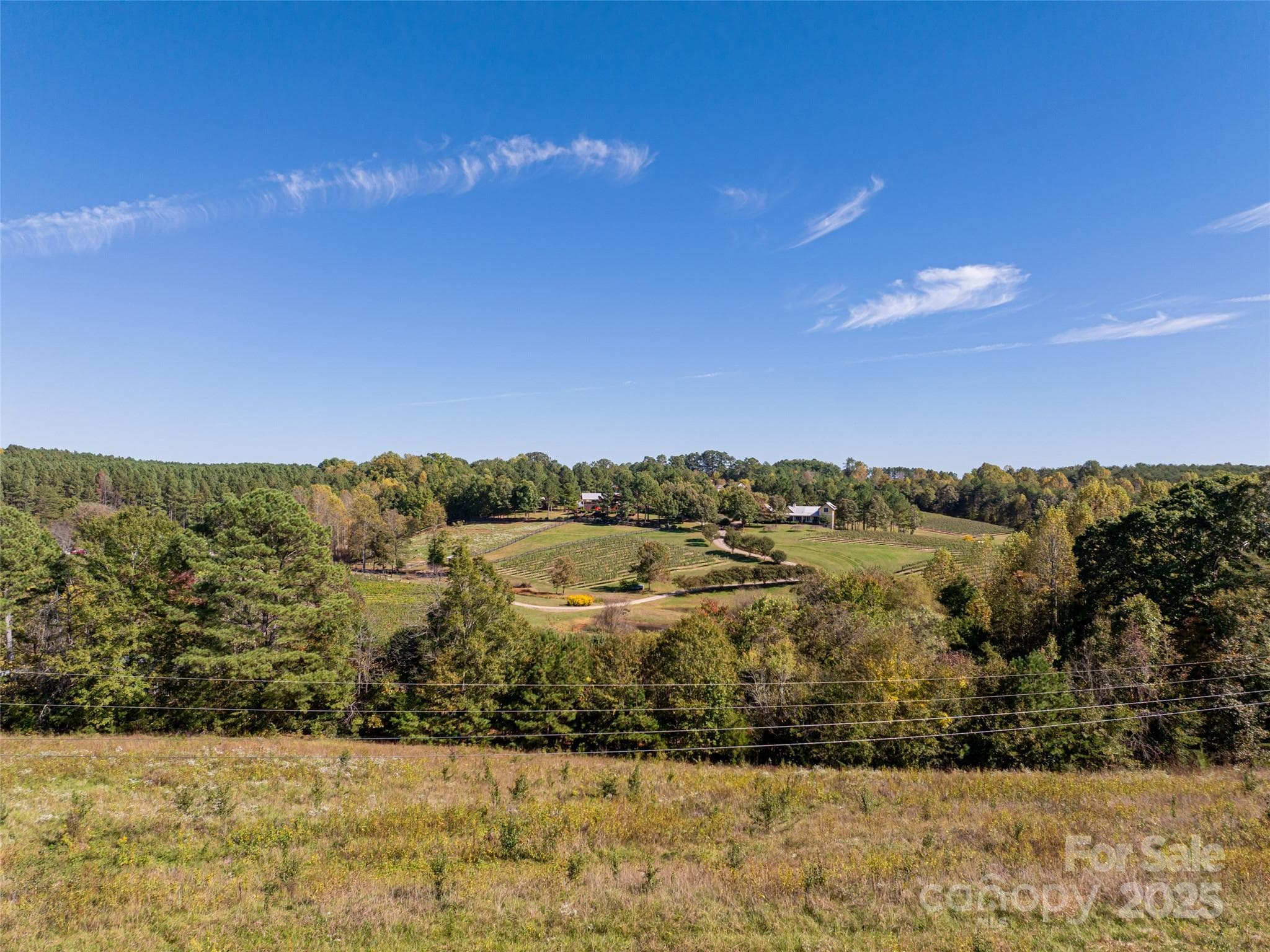 Acreage at Mill Spring, photo 9 of 17