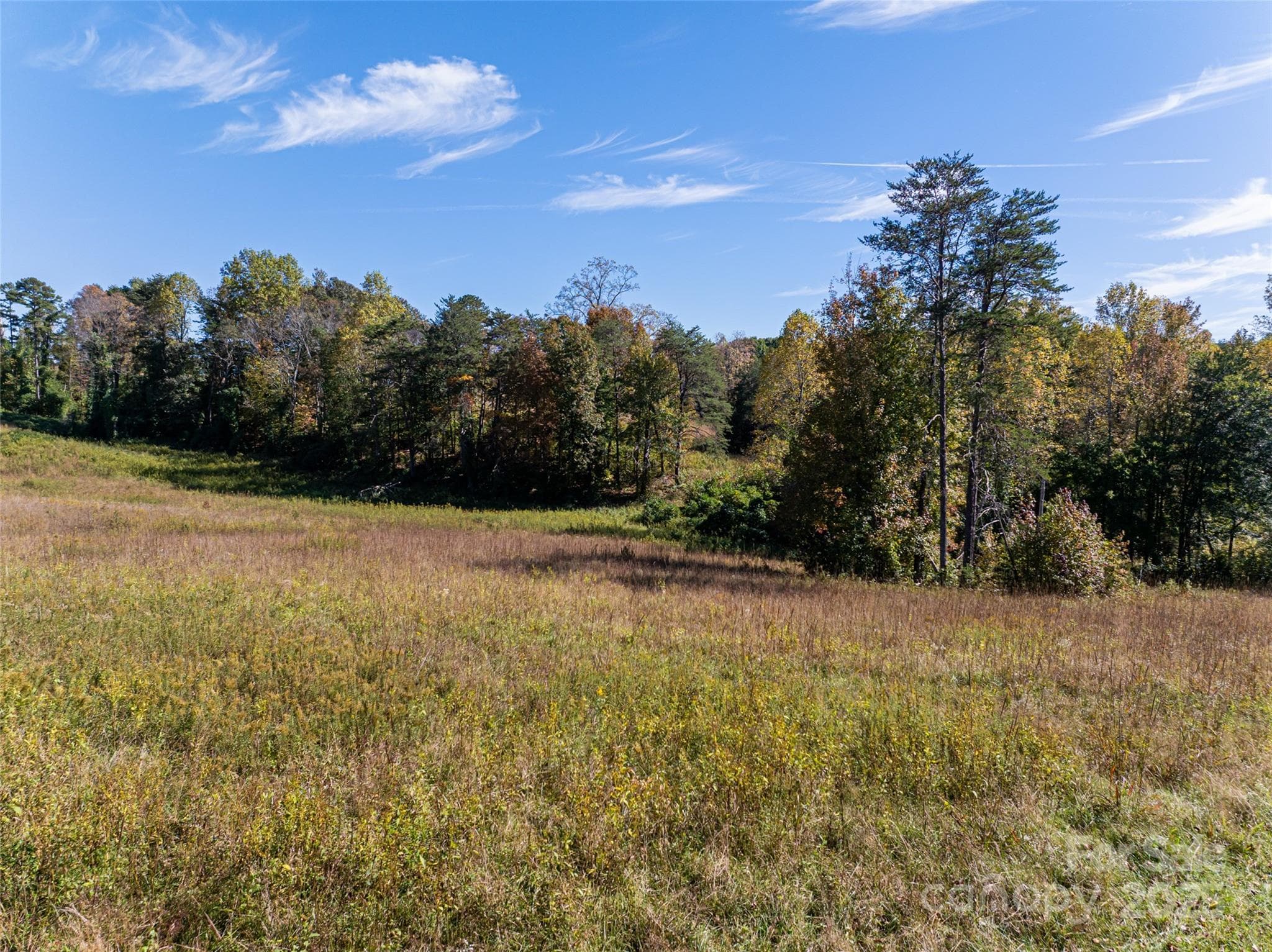 Acreage at Mill Spring, photo 5 of 14