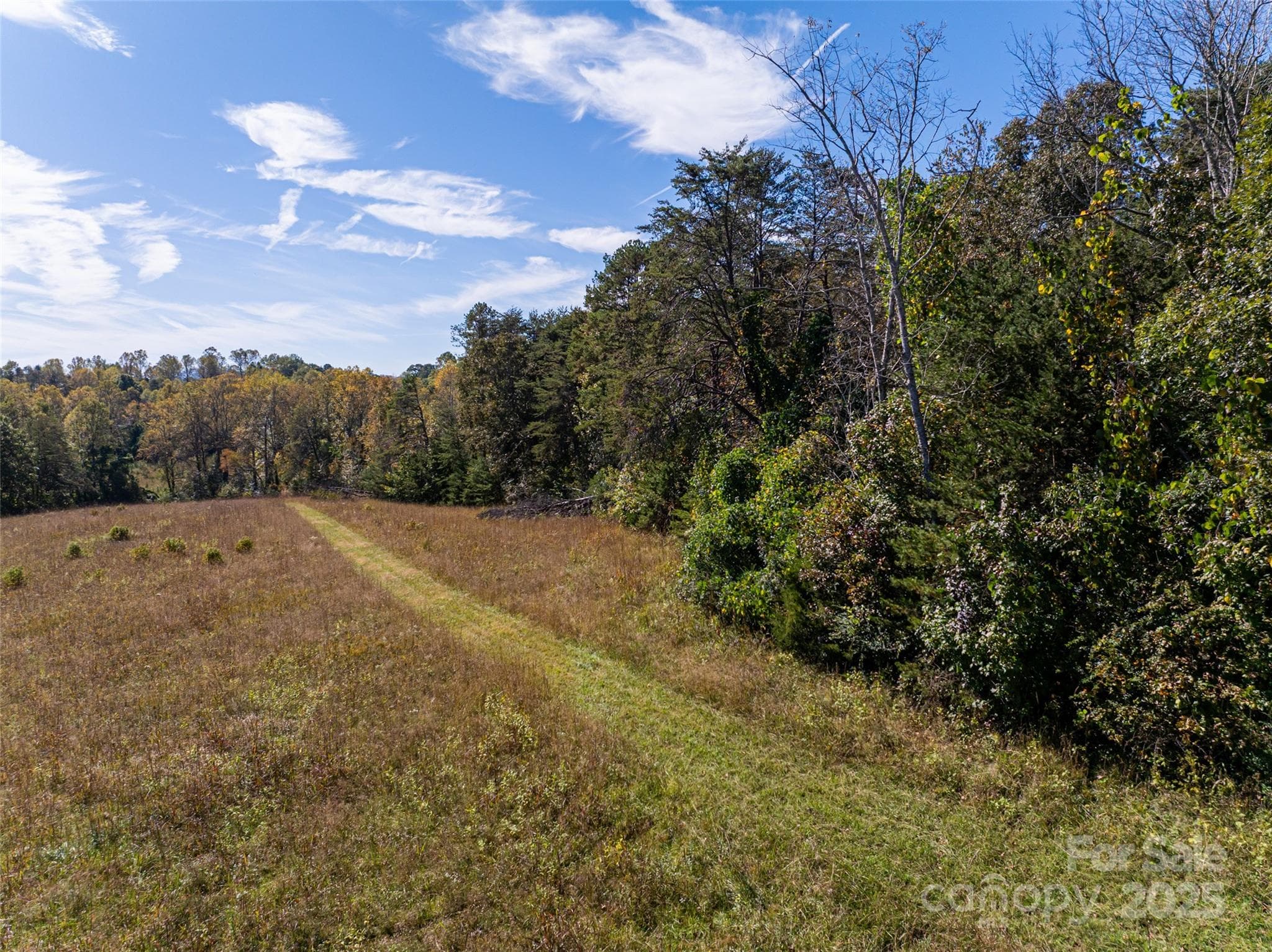 Acreage at Mill Spring, photo 6 of 14