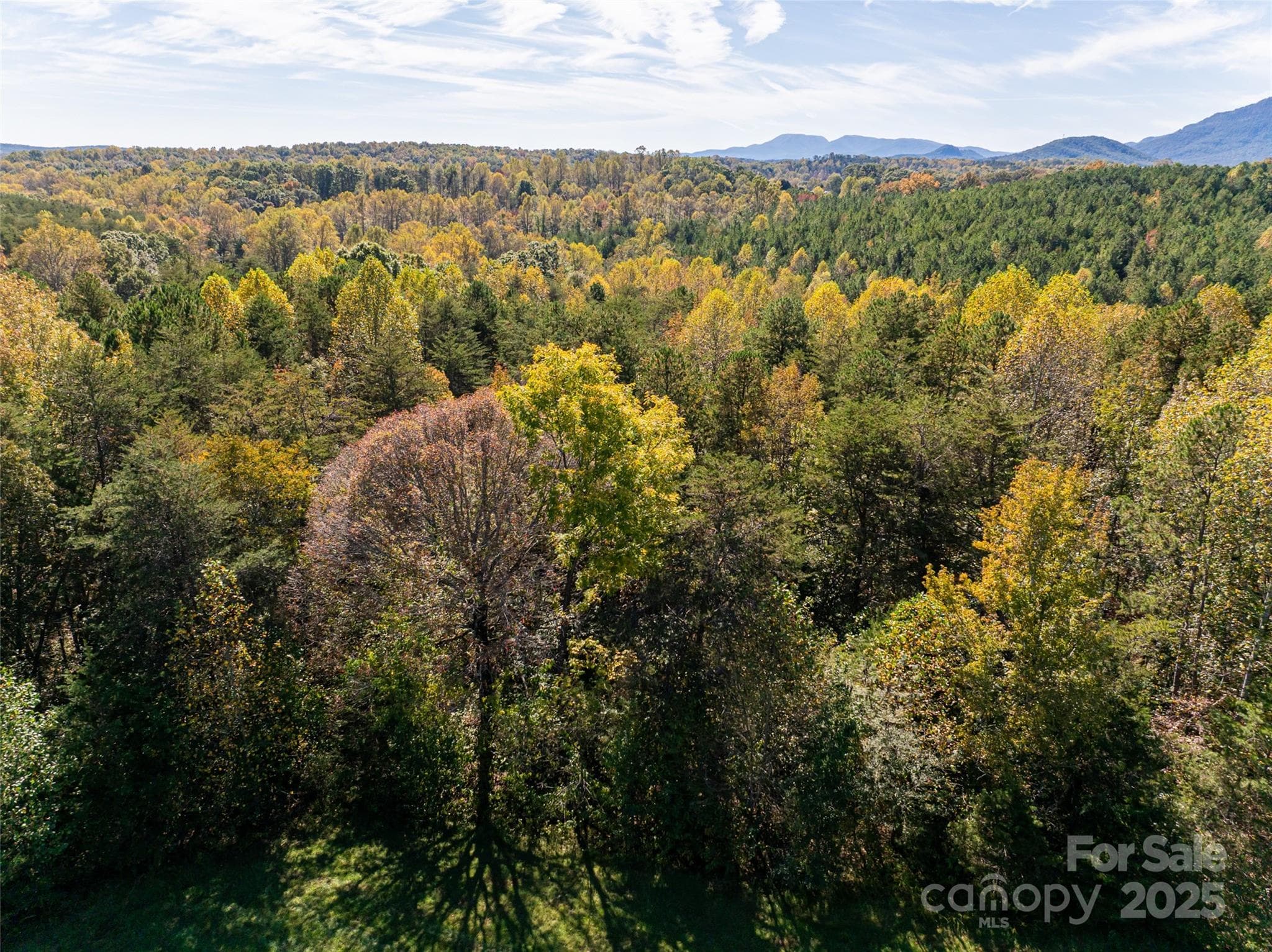 Acreage at Mill Spring, photo 10 of 14