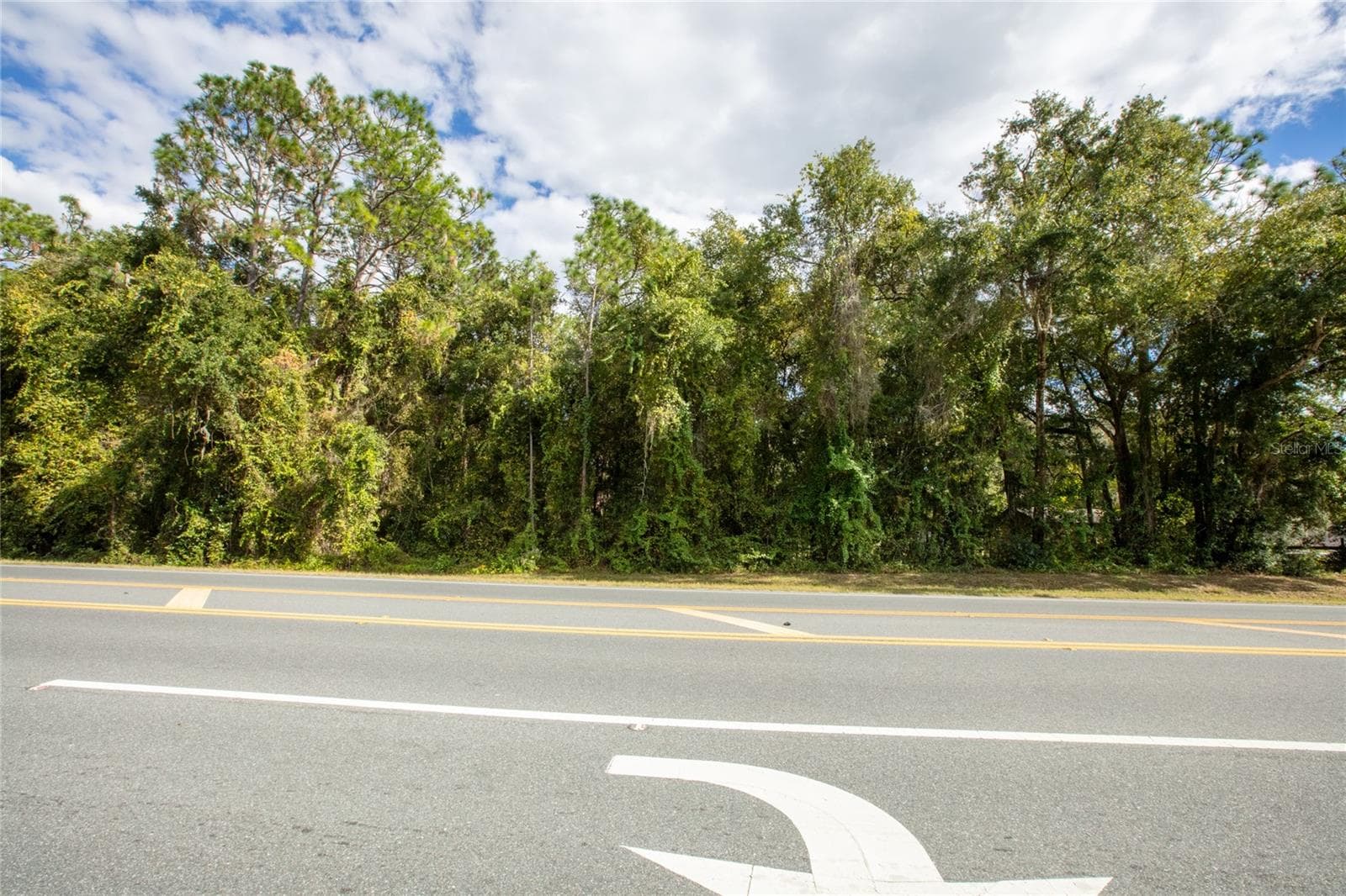 Land at SR-21, MELROSE, photo 10 of 12