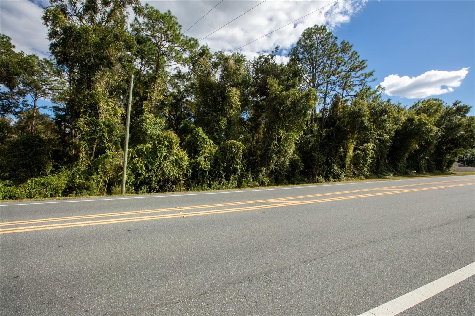 Land at SR-21, MELROSE, photo 11 of 12