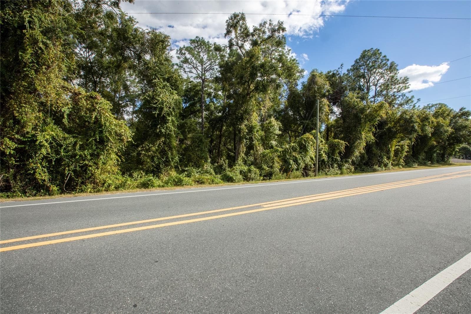 Land at SR-21, MELROSE, photo 12 of 12