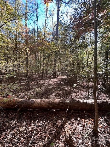 Lot at Rutherfordton, photo 4 of 17