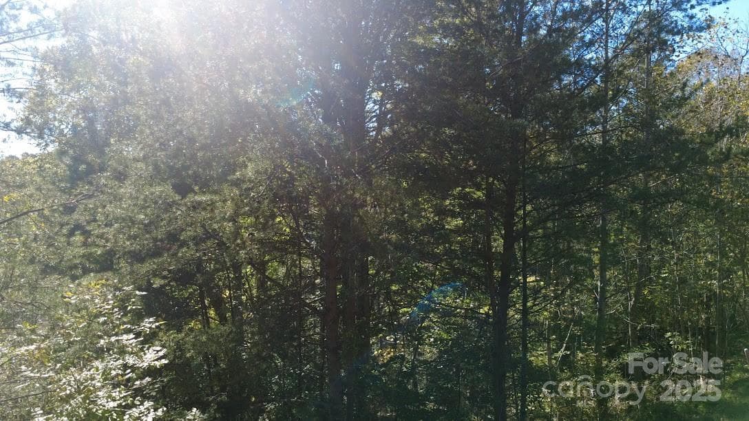 Lot at Rutherfordton, photo 5 of 17