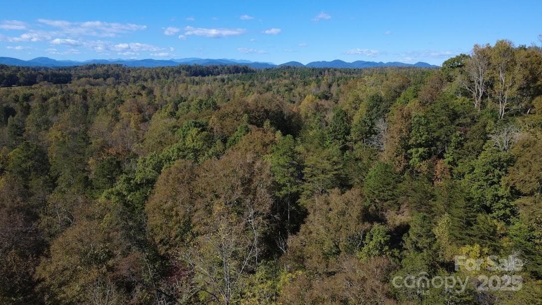 Lot at Rutherfordton, photo 13 of 17