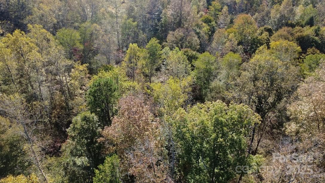 Lot at Rutherfordton, photo 14 of 17