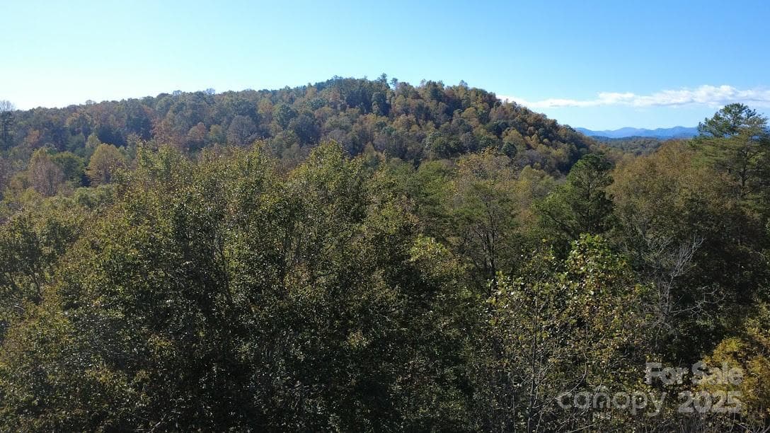 Lot at Rutherfordton, photo 15 of 17