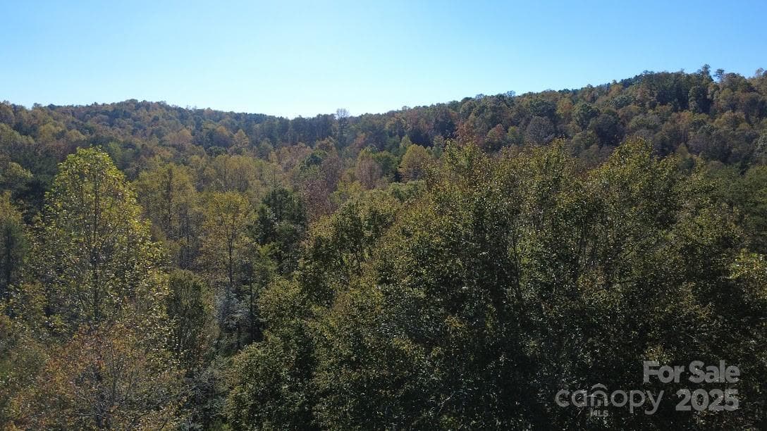 Lot at Rutherfordton, photo 16 of 17