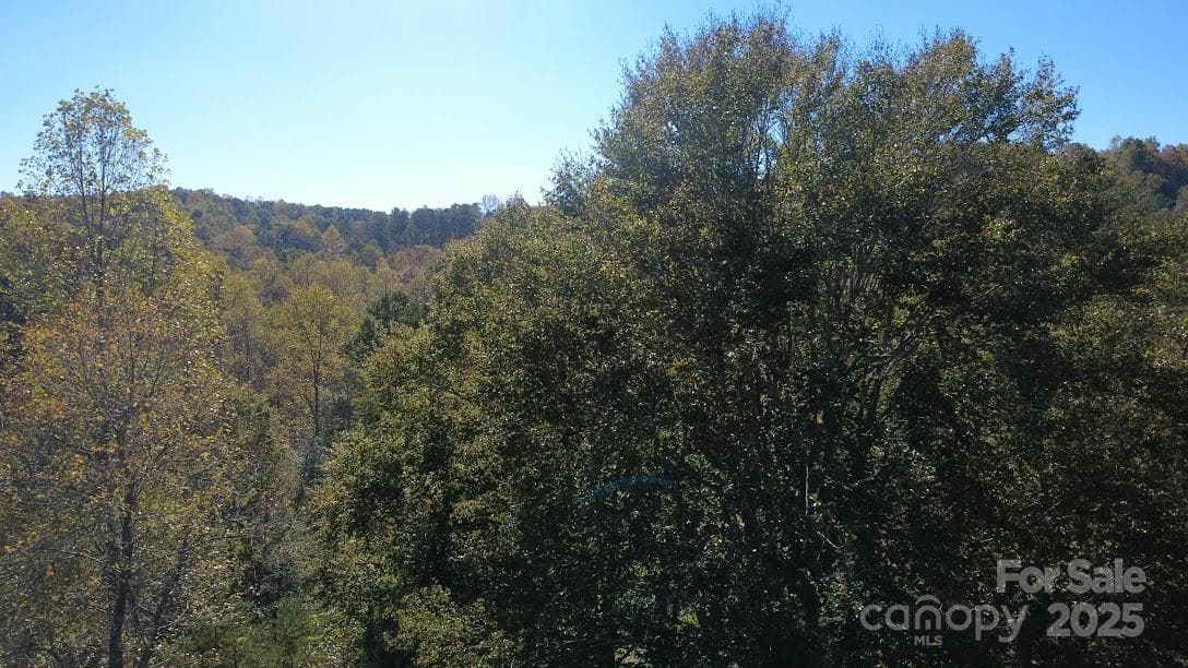 Lot at Rutherfordton, photo 17 of 17