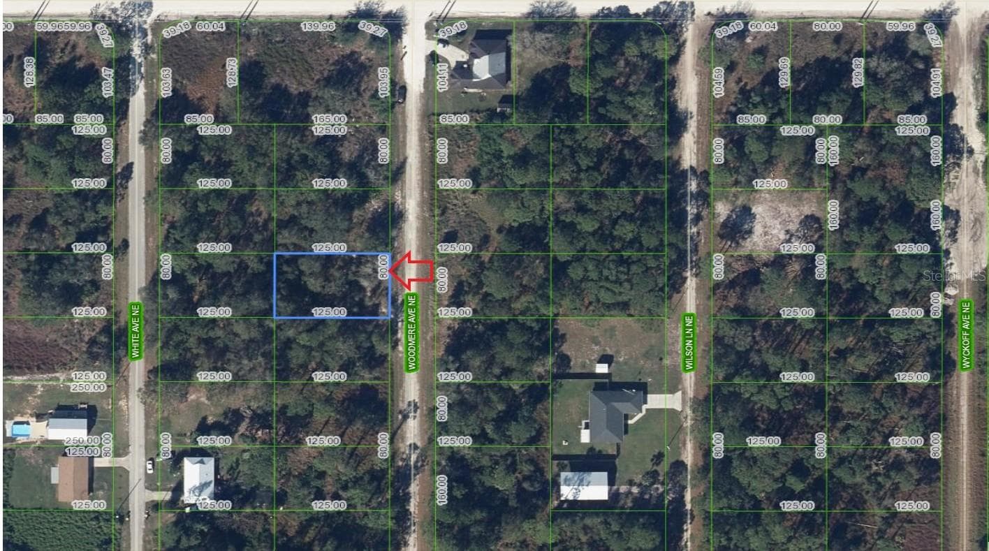 107 WOODMERE AVE NE