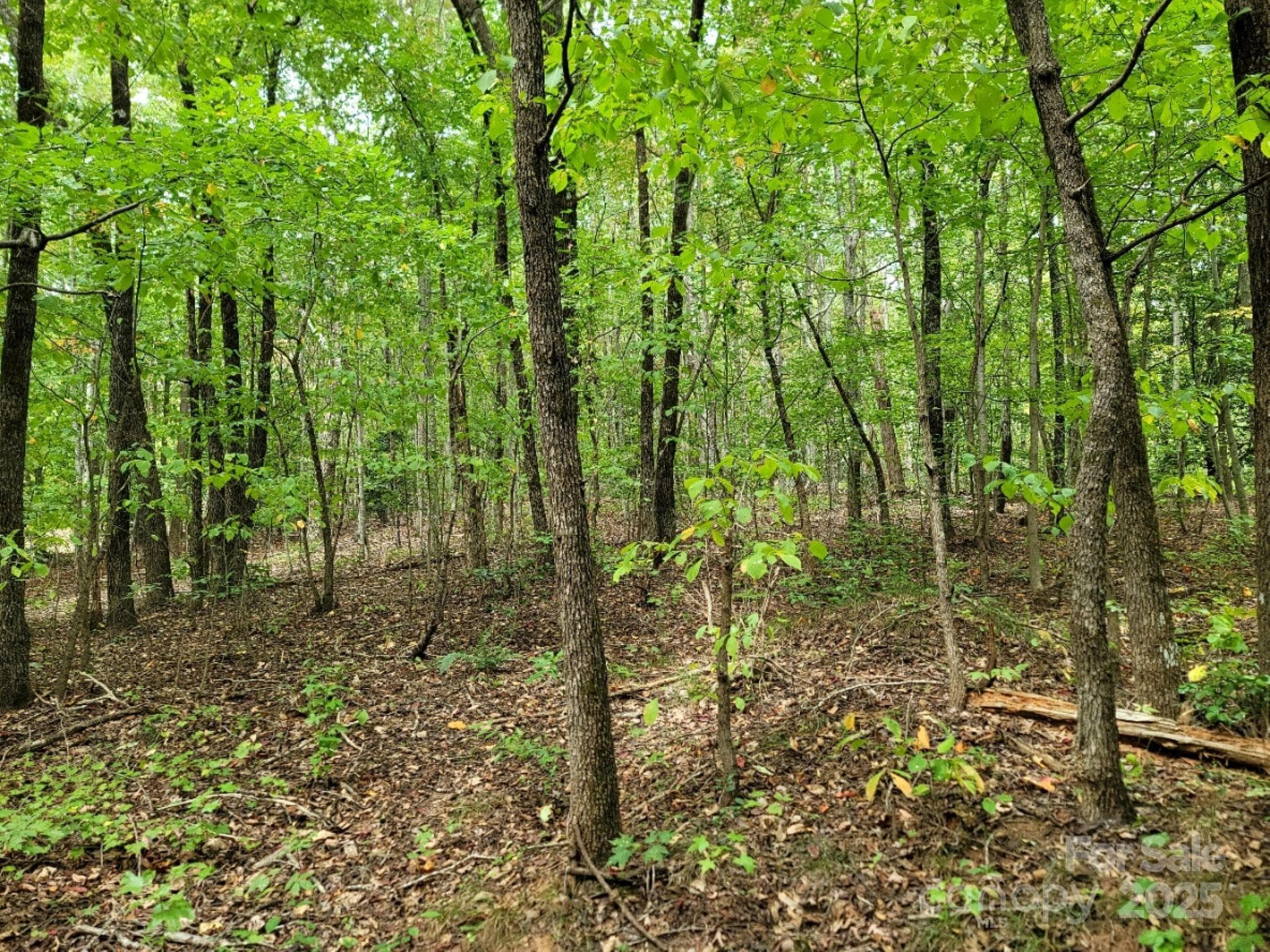 Lot at 219 Judy Road, Casar, photo 4 of 11