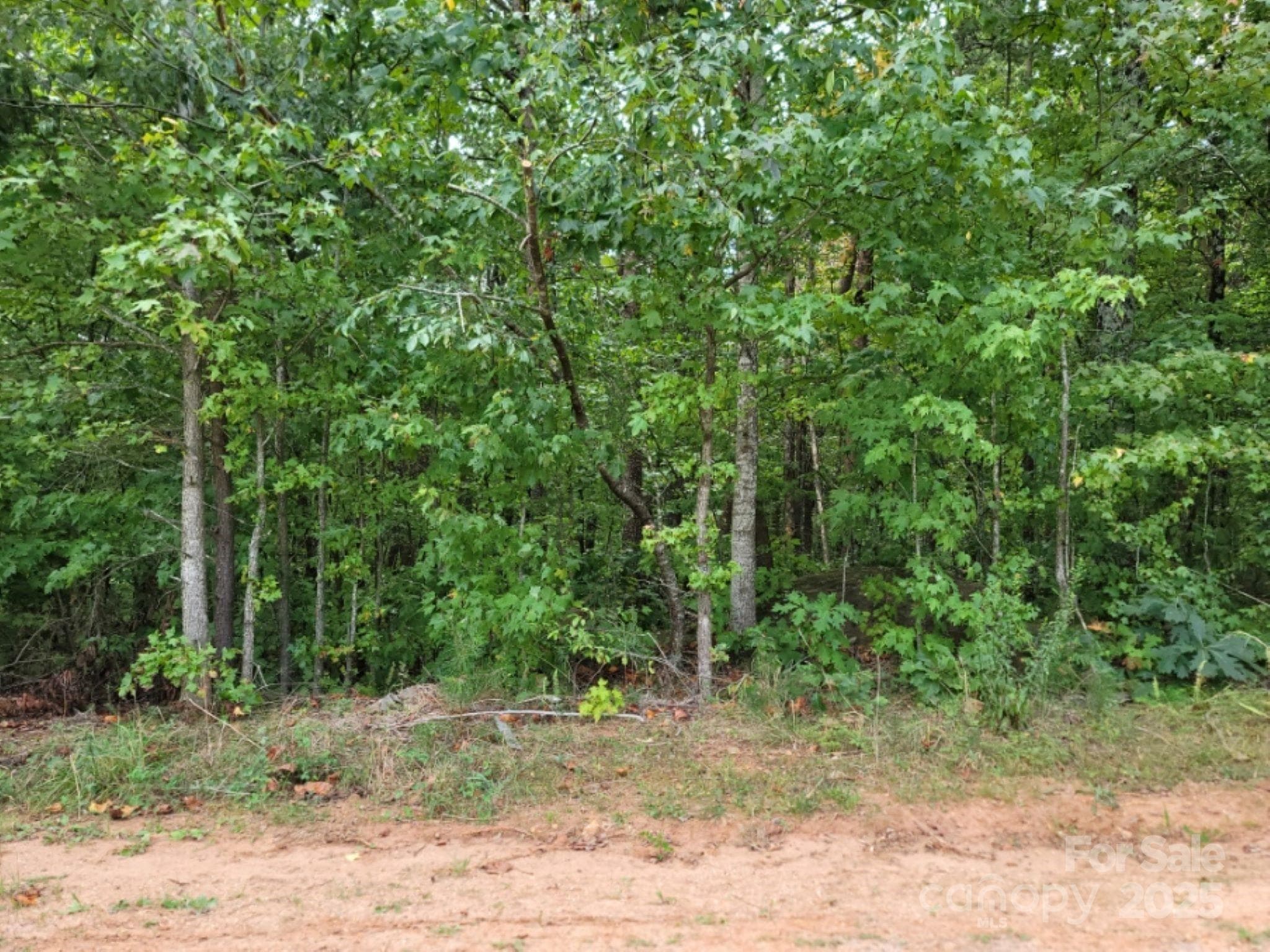 Lot at 219 Judy Road, Casar, photo 8 of 11
