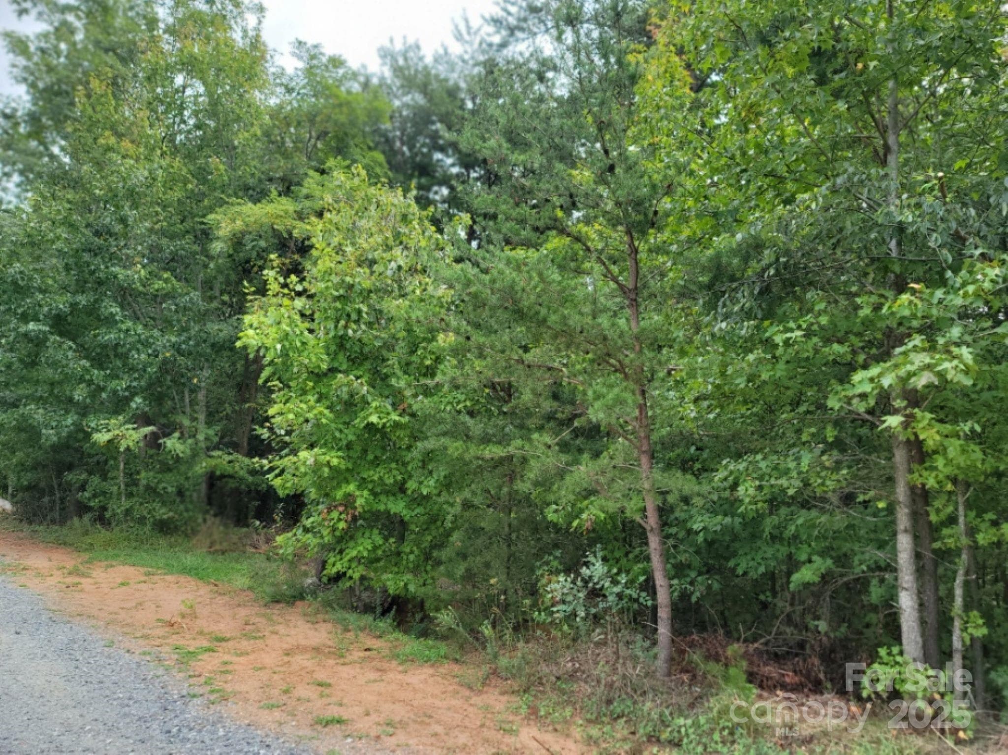 Lot at 219 Judy Road, Casar, photo 9 of 11