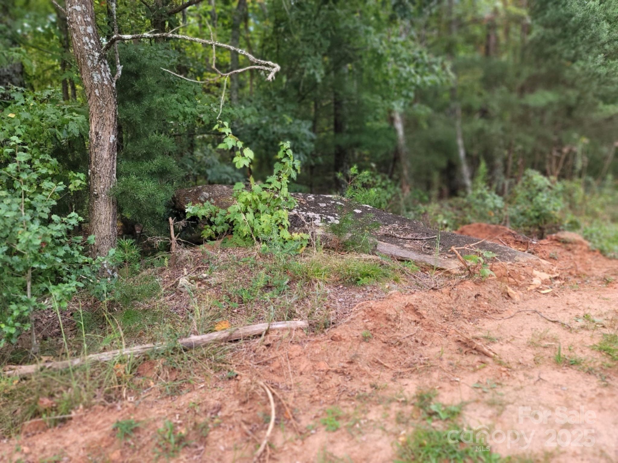 Lot at 219 Judy Road, Casar, photo 10 of 11