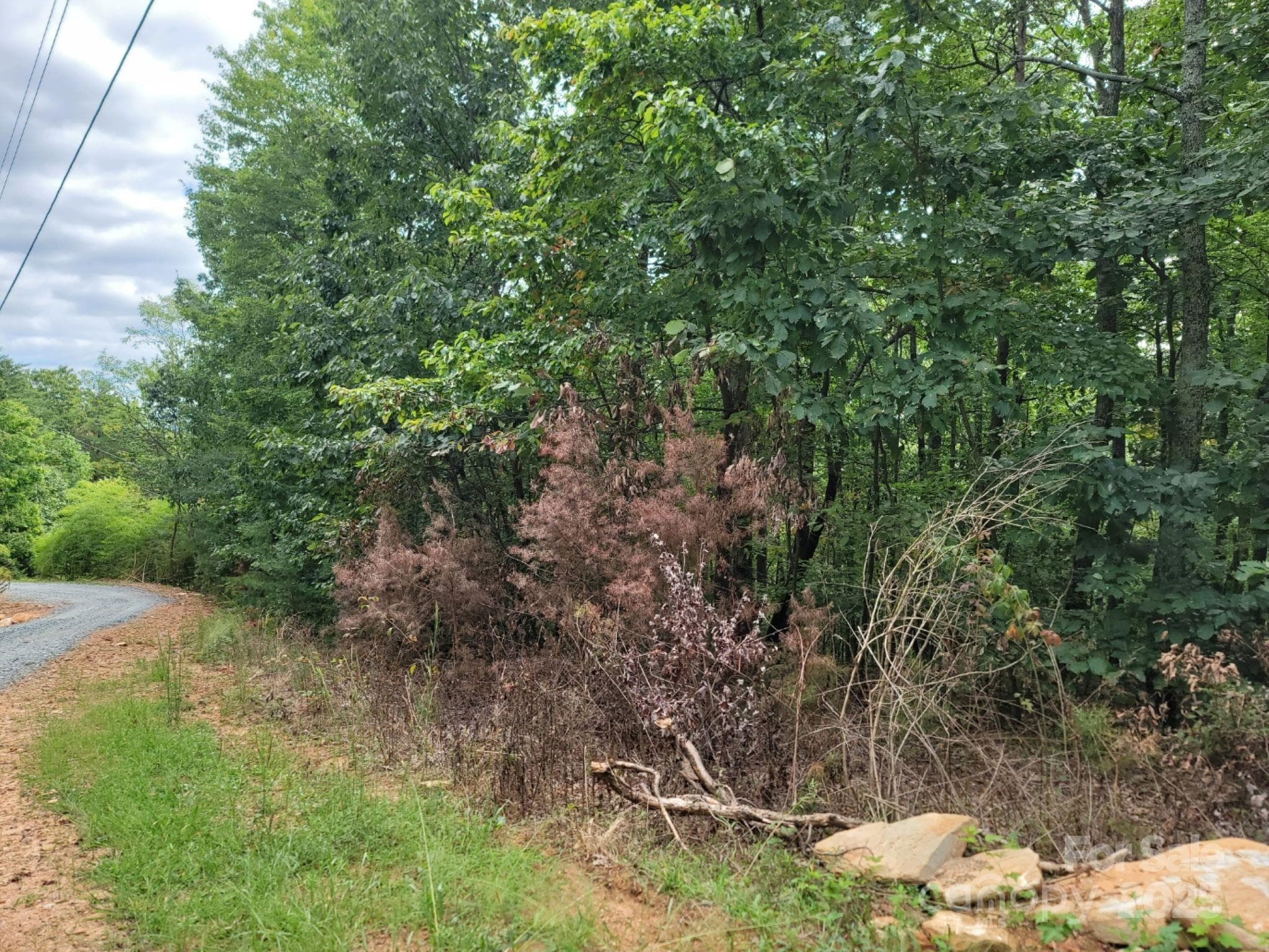 Lot at 219 Judy Road, Casar, photo 11 of 11