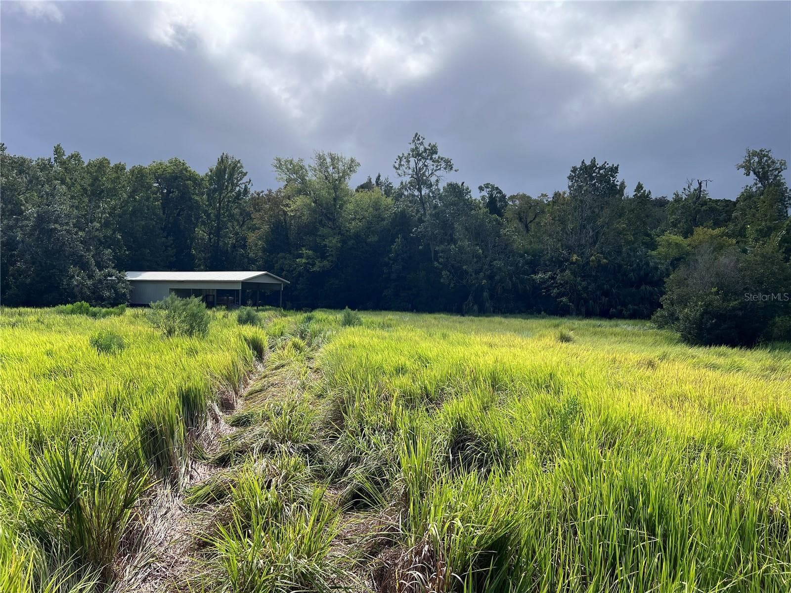 Land at NFS 73 / ALCO RD, ASTOR, photo 48 of 53