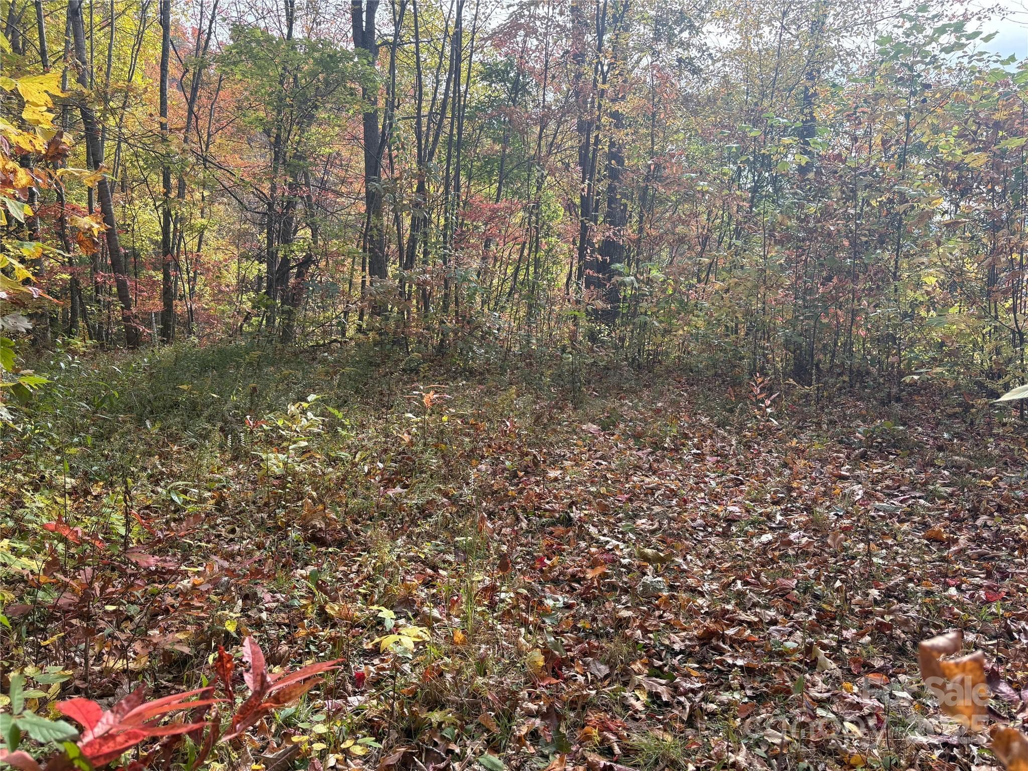Lot at 899 Hyacinth Drive, Clyde, photo 26 of 29