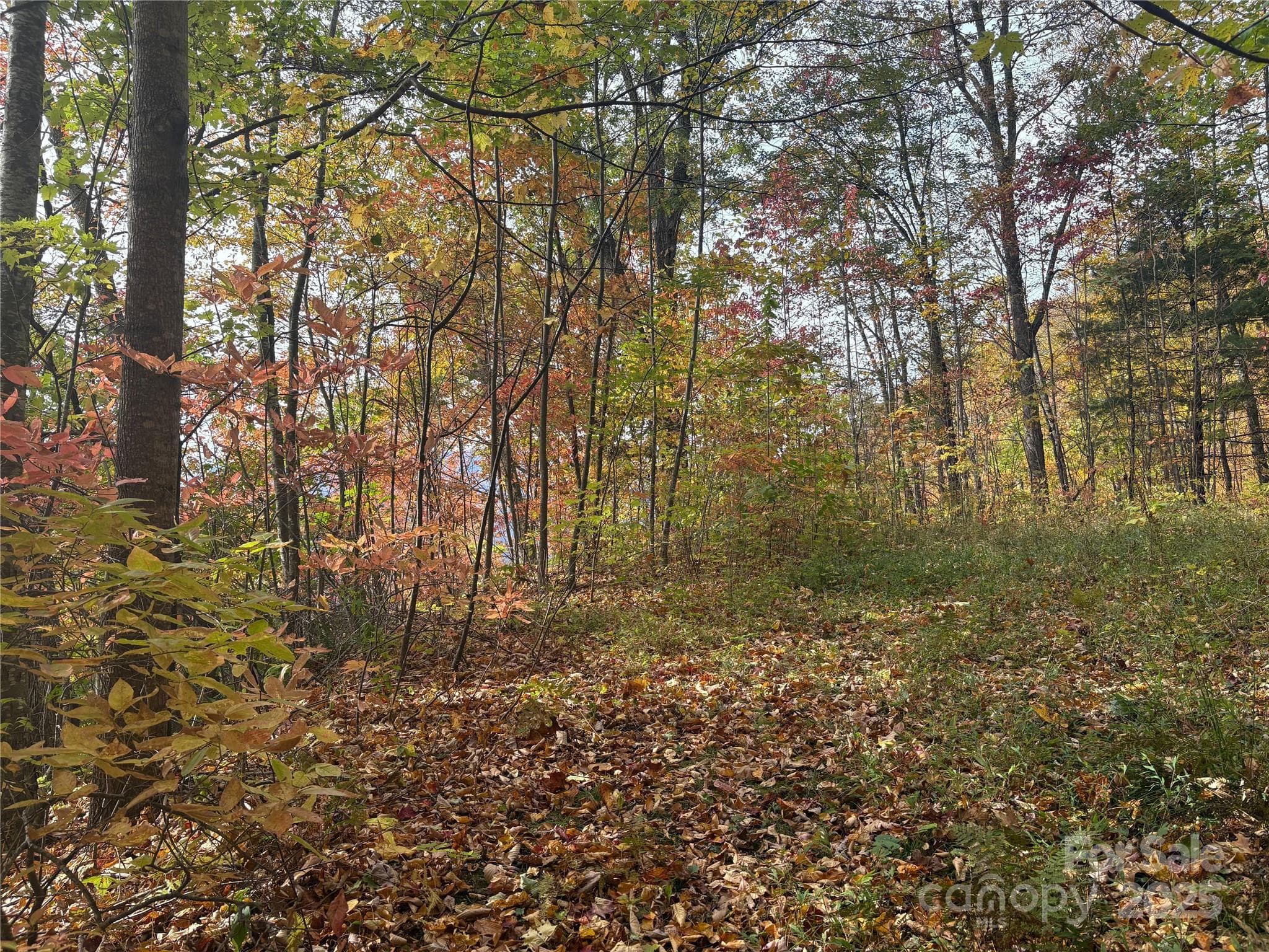 Lot at 899 Hyacinth Drive, Clyde, photo 27 of 29