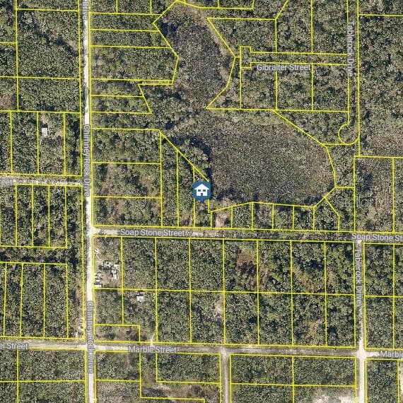 Land at LOT 37 SOAP STONE ST, WEBSTER, photo 2 of 4