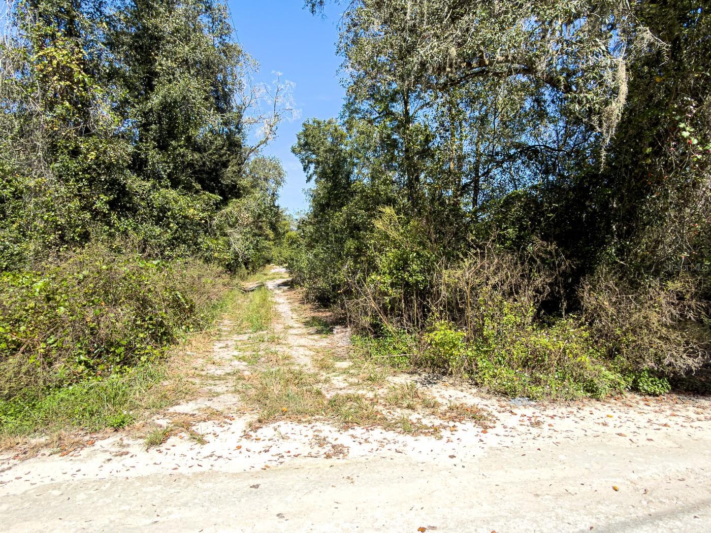 Land at 34095 HYATT RD, DADE CITY, photo 6 of 45